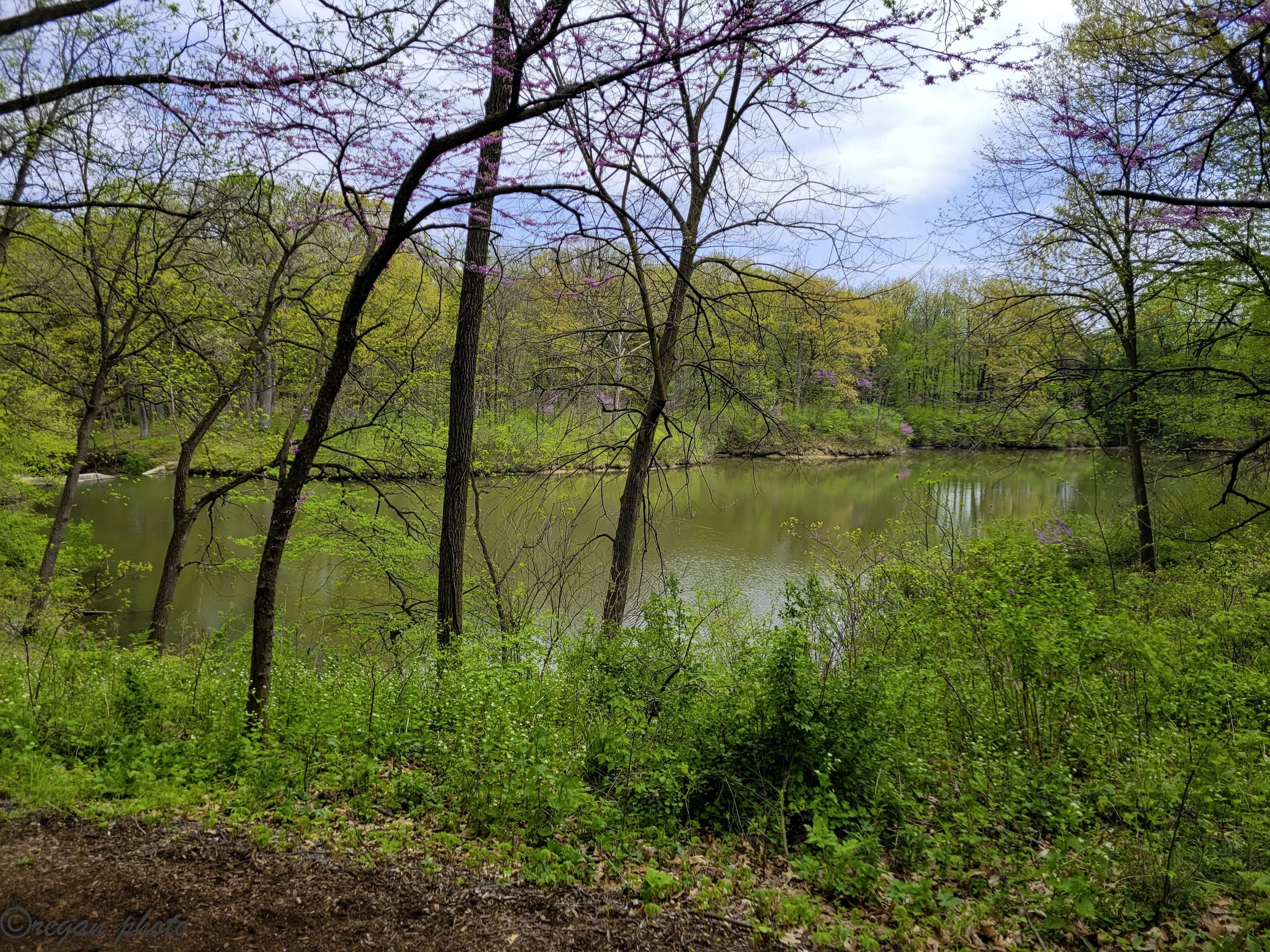 Sterling (3) - edit edit.jpg