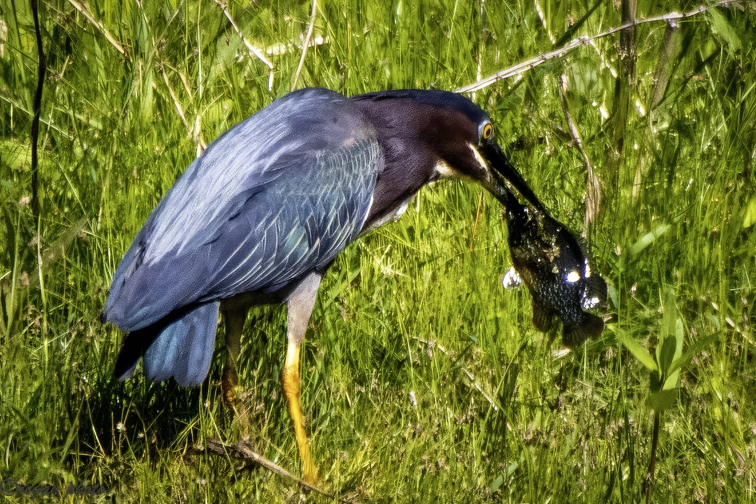 Churchhill Park-24 edit.jpg