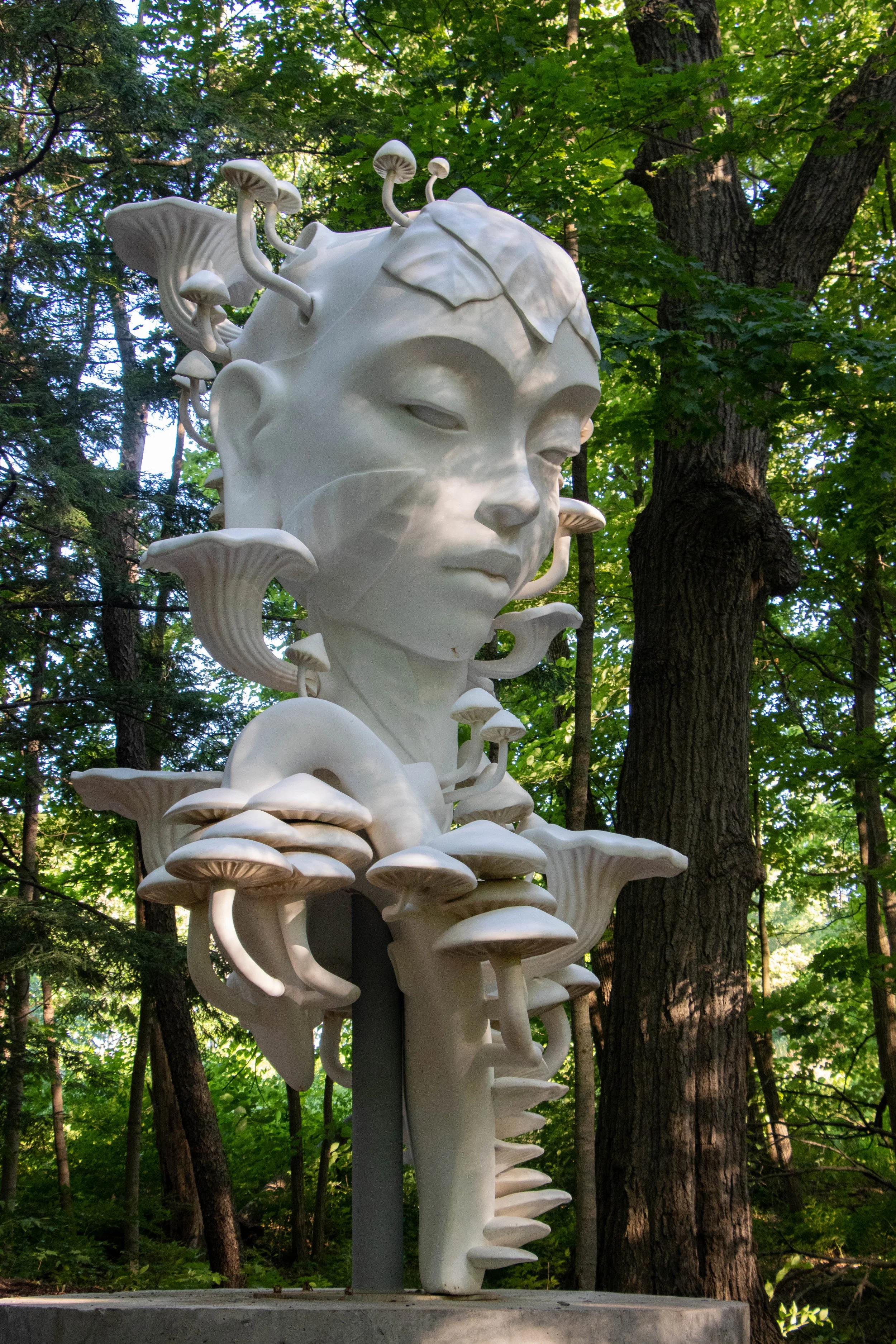 MyCelia (18) - edit.jpg