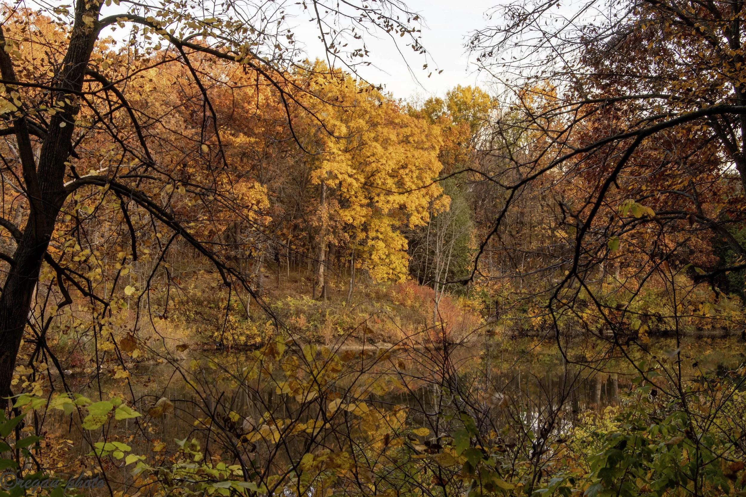 _MG_6948-HDR edit.jpg