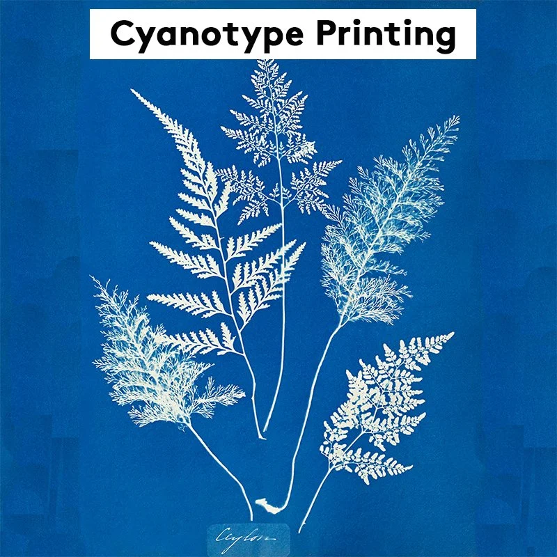 Fri 3/6 Cyanotype Printing 6pm