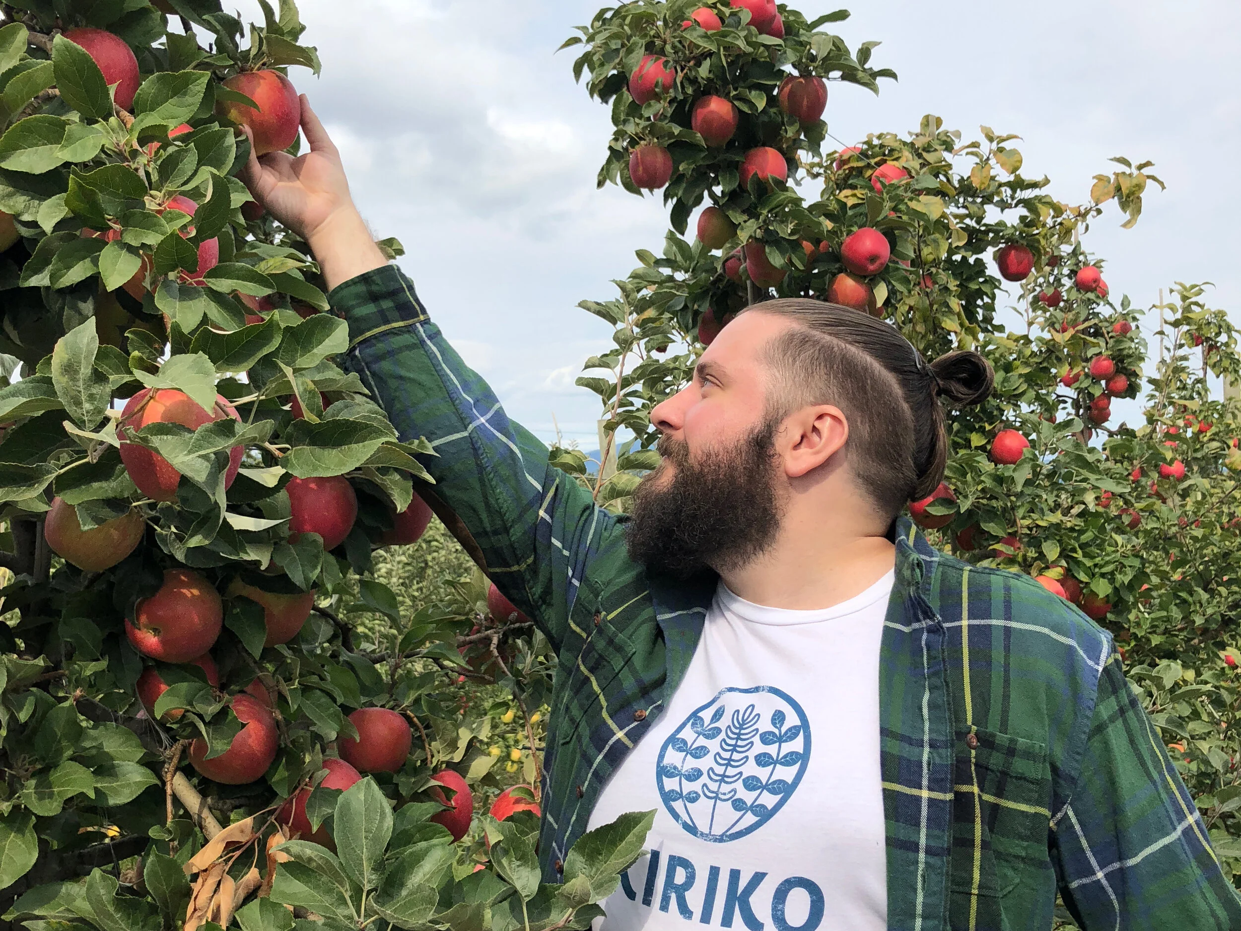 Picking apples cropped.jpg