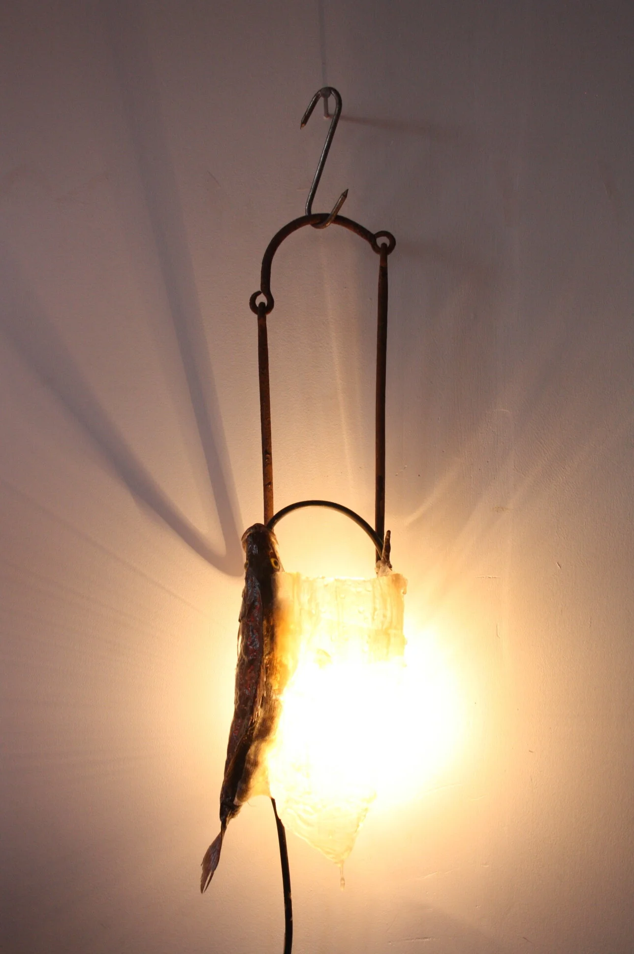 Fish light - Graft.JPG