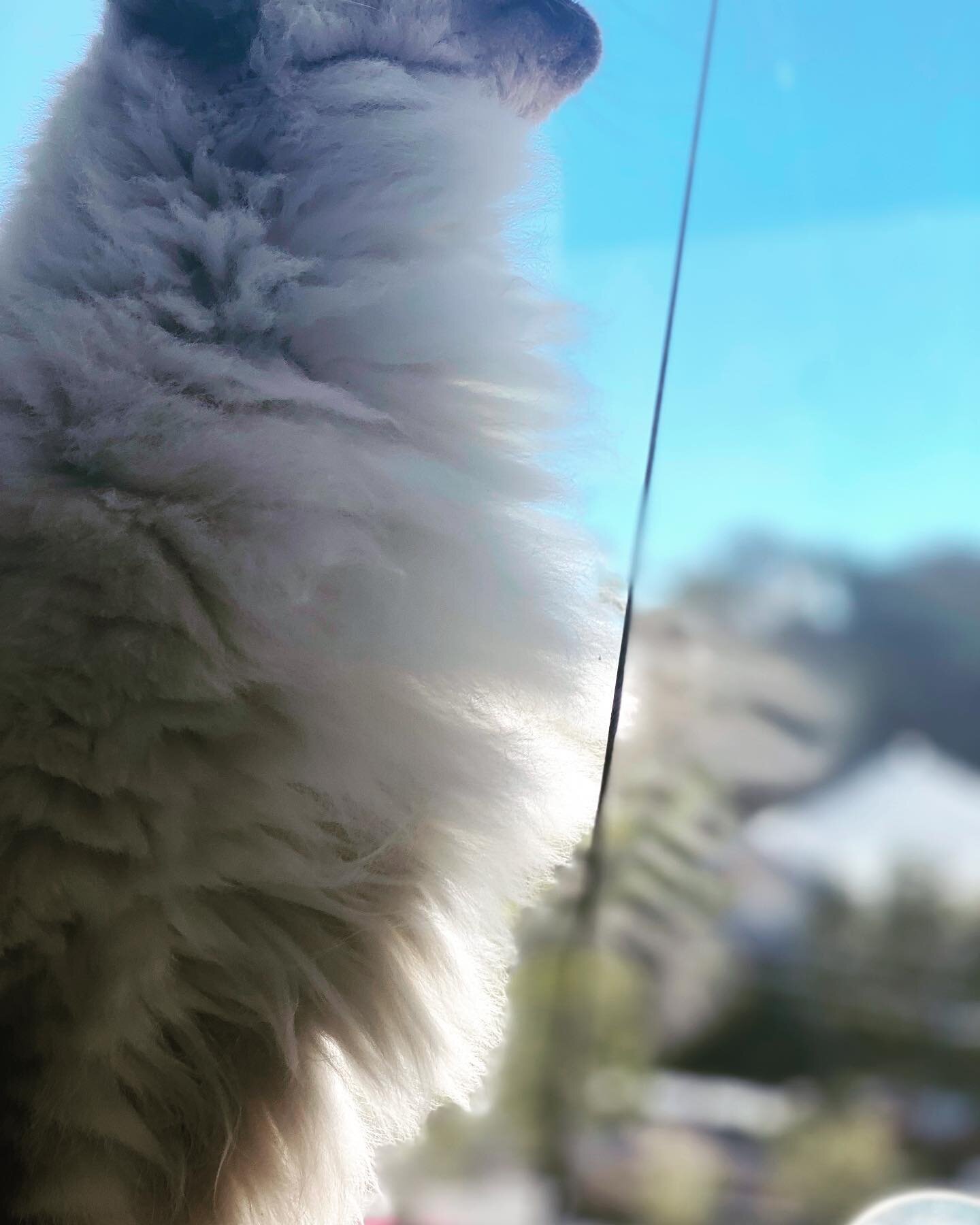 😻😻