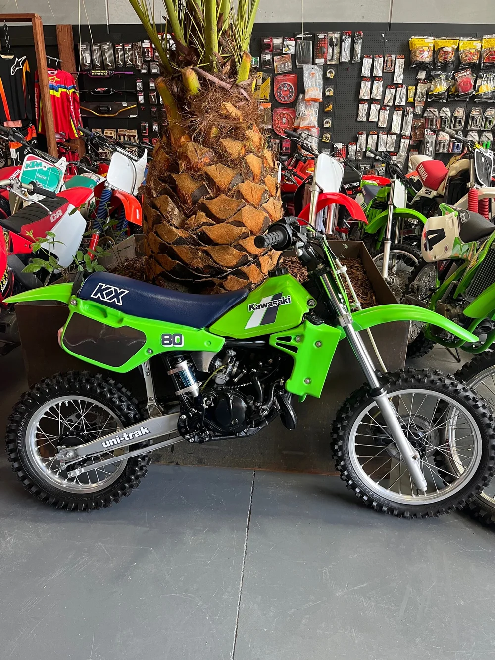 1984 KX80 Endless Sunday