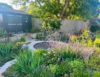 Allium Garden, Great Somerford
