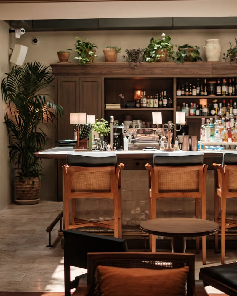 Borneta-June-Volta-Bar-Space.png