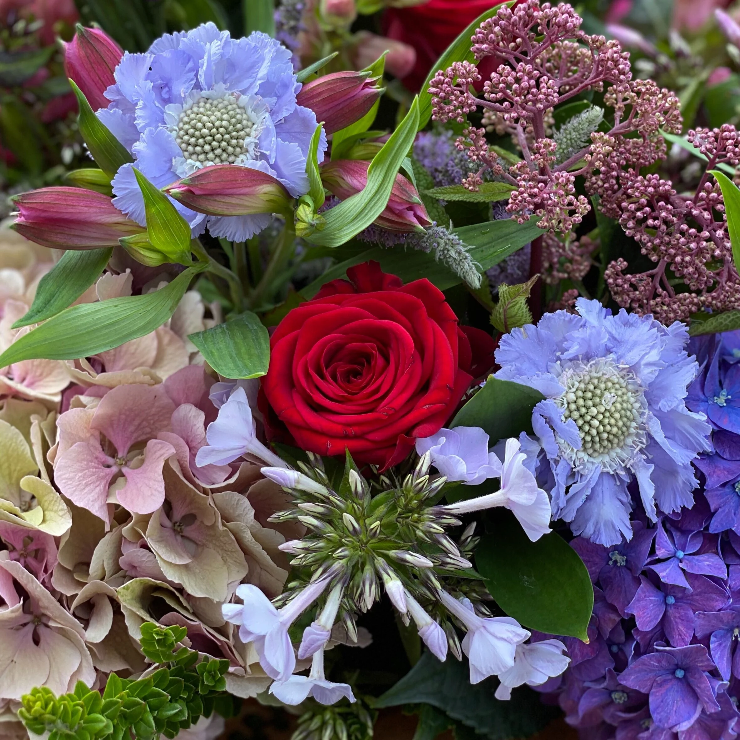 Seasonal Bouquet with Premium Red Roses