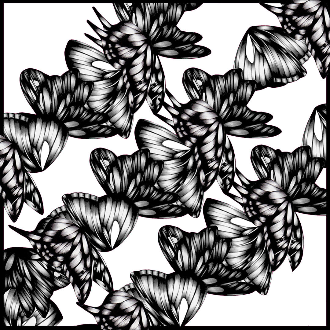 BUTTERBUG BALL B&W.jpg