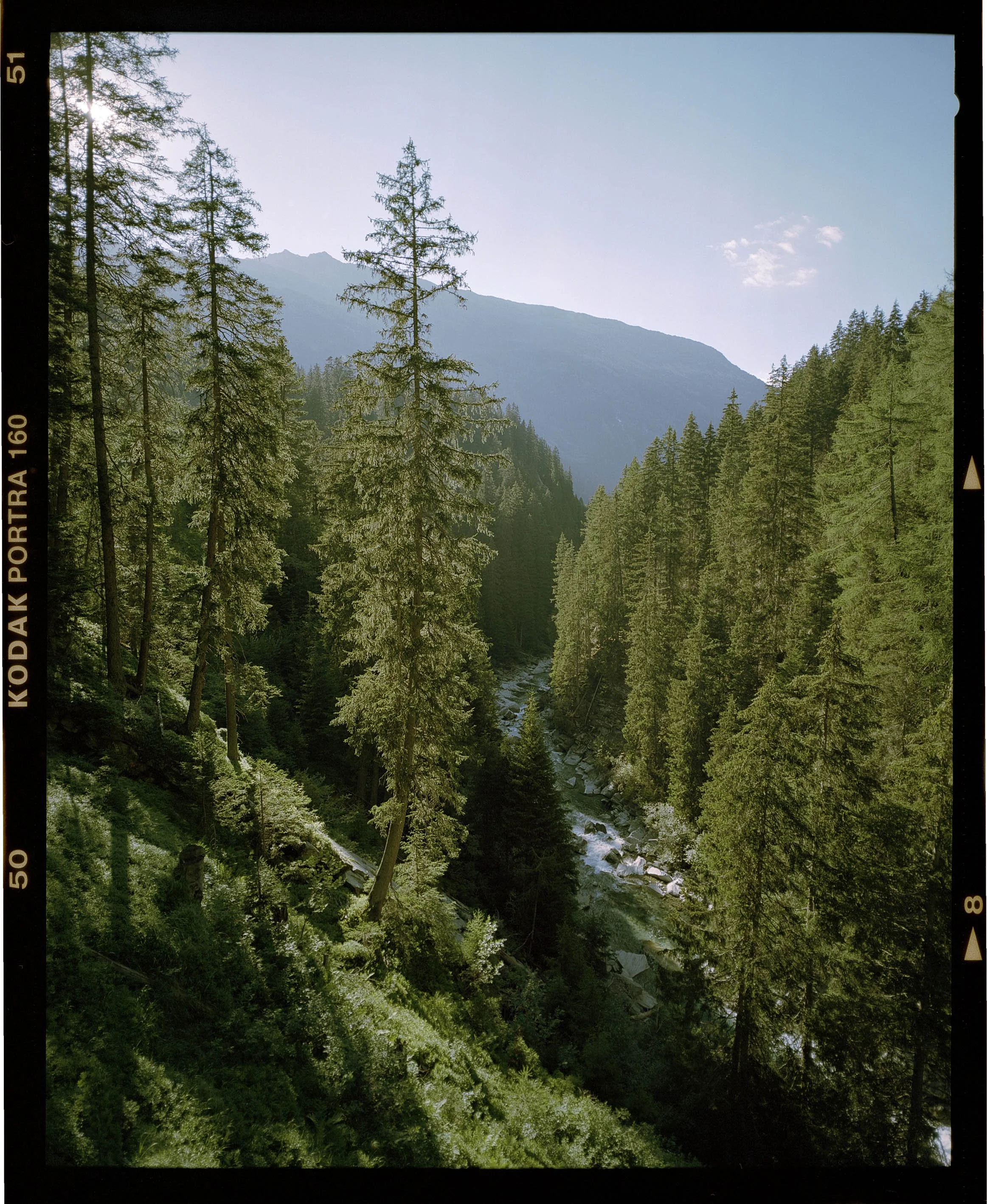 Ferrera_Portra (8)low.jpg