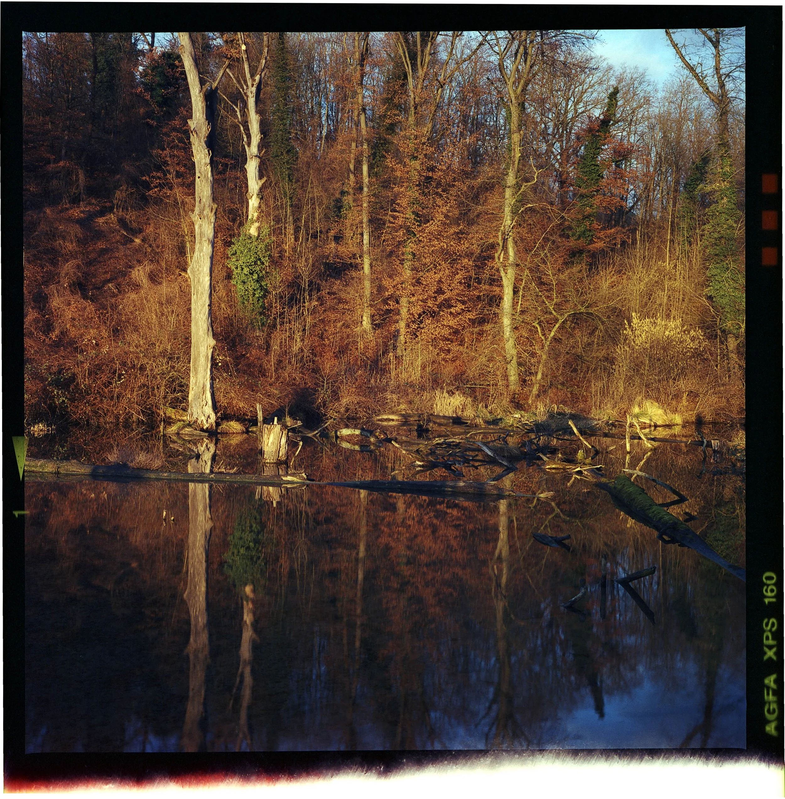 Rhf_Agfa_low.jpg