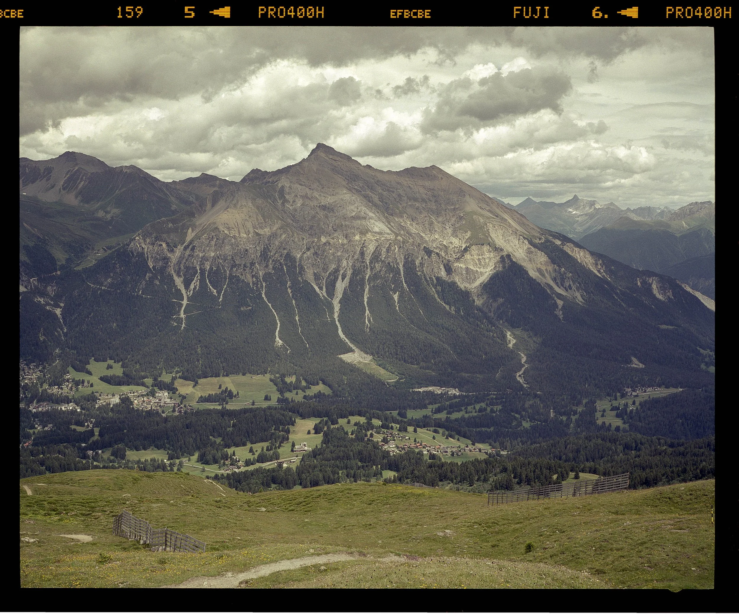 Tgantieni_400h (3)low.jpg