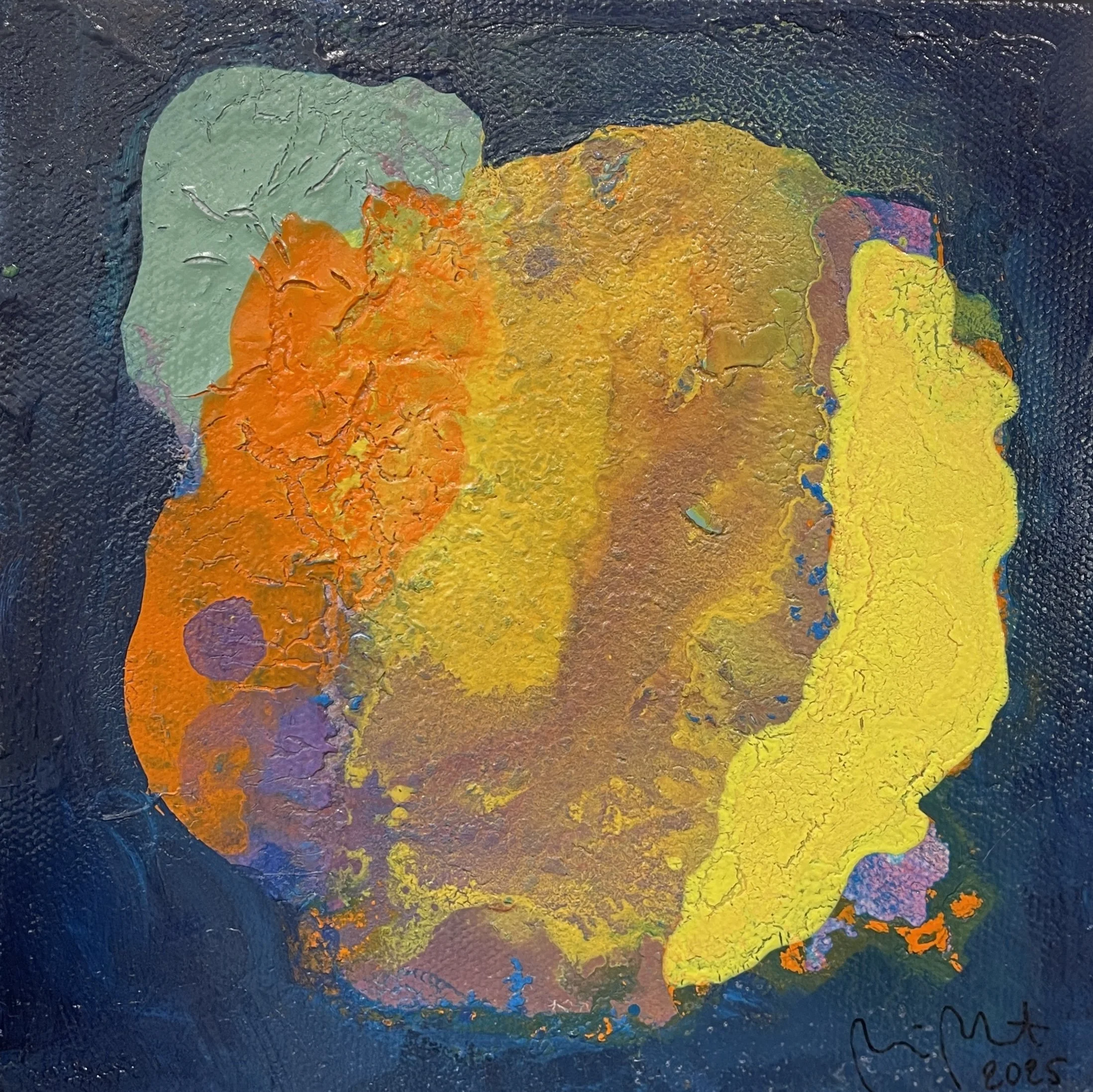 Oodi jäkälälle V / Ode to lichen V, 2025, 20 x 20 cm