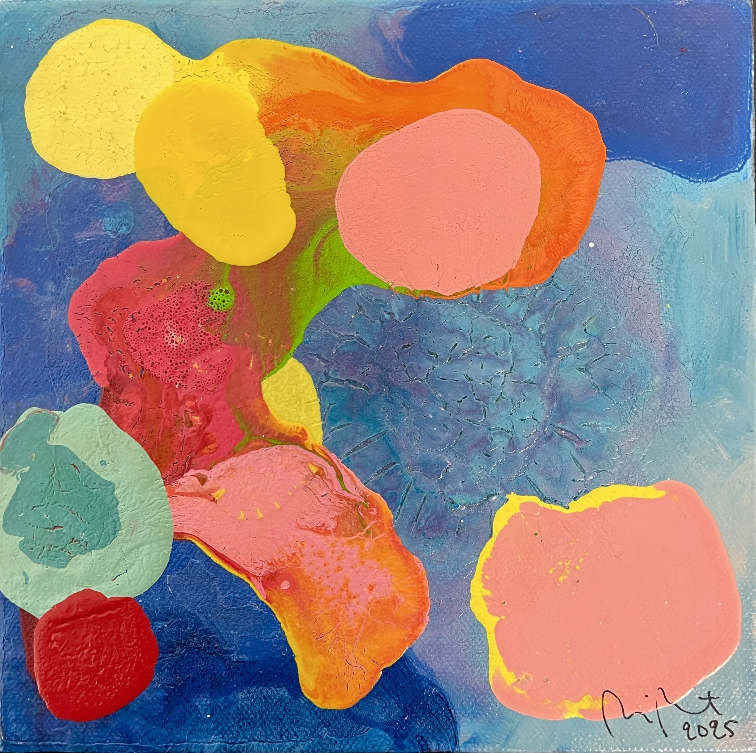 Oodi jäkälälle II / Ode to lichen II, 2025, 20 x 20 cm