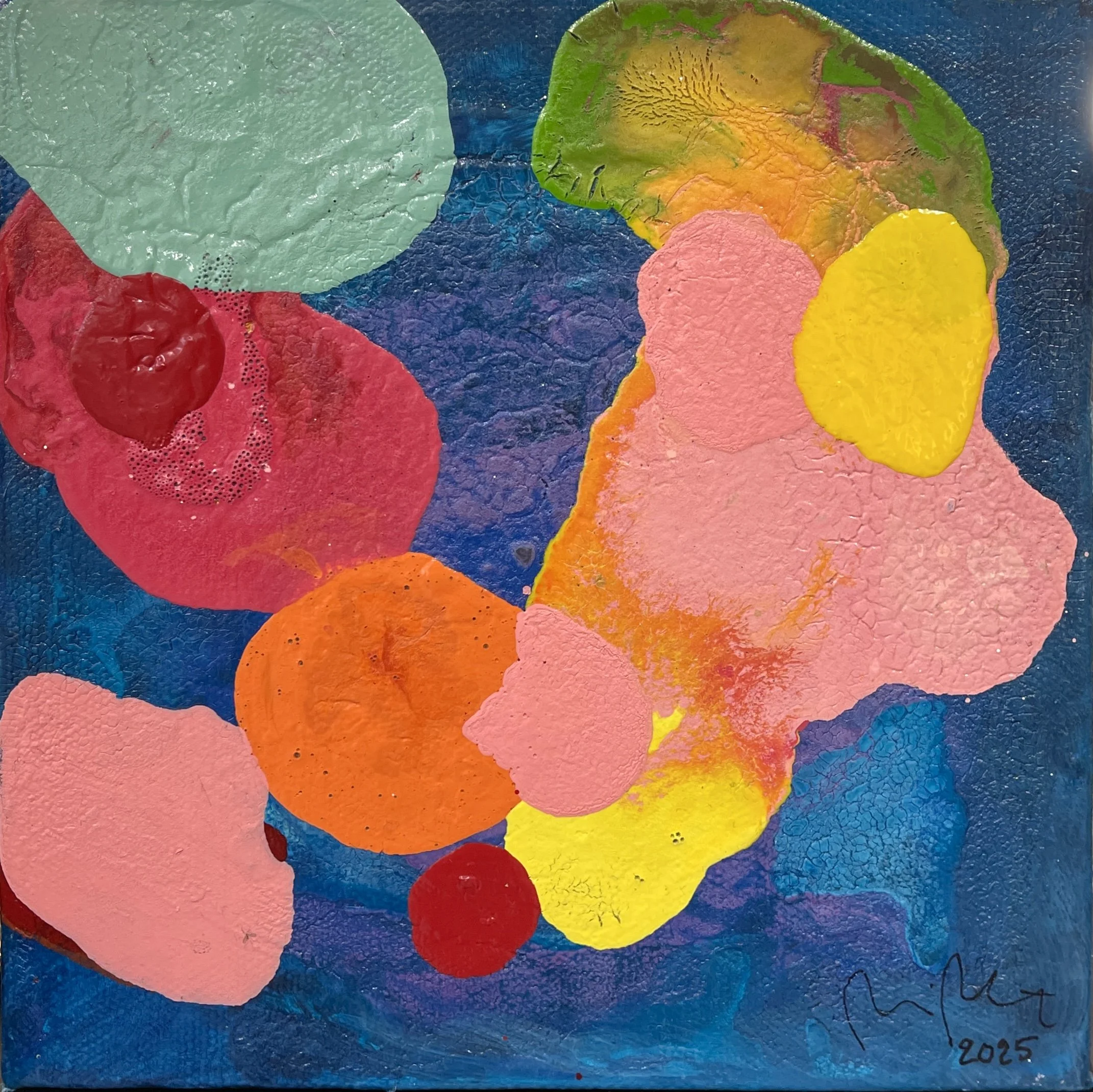 Oodi jäkälälle III / Ode to lichen III, 2025, 20 x 20 cm