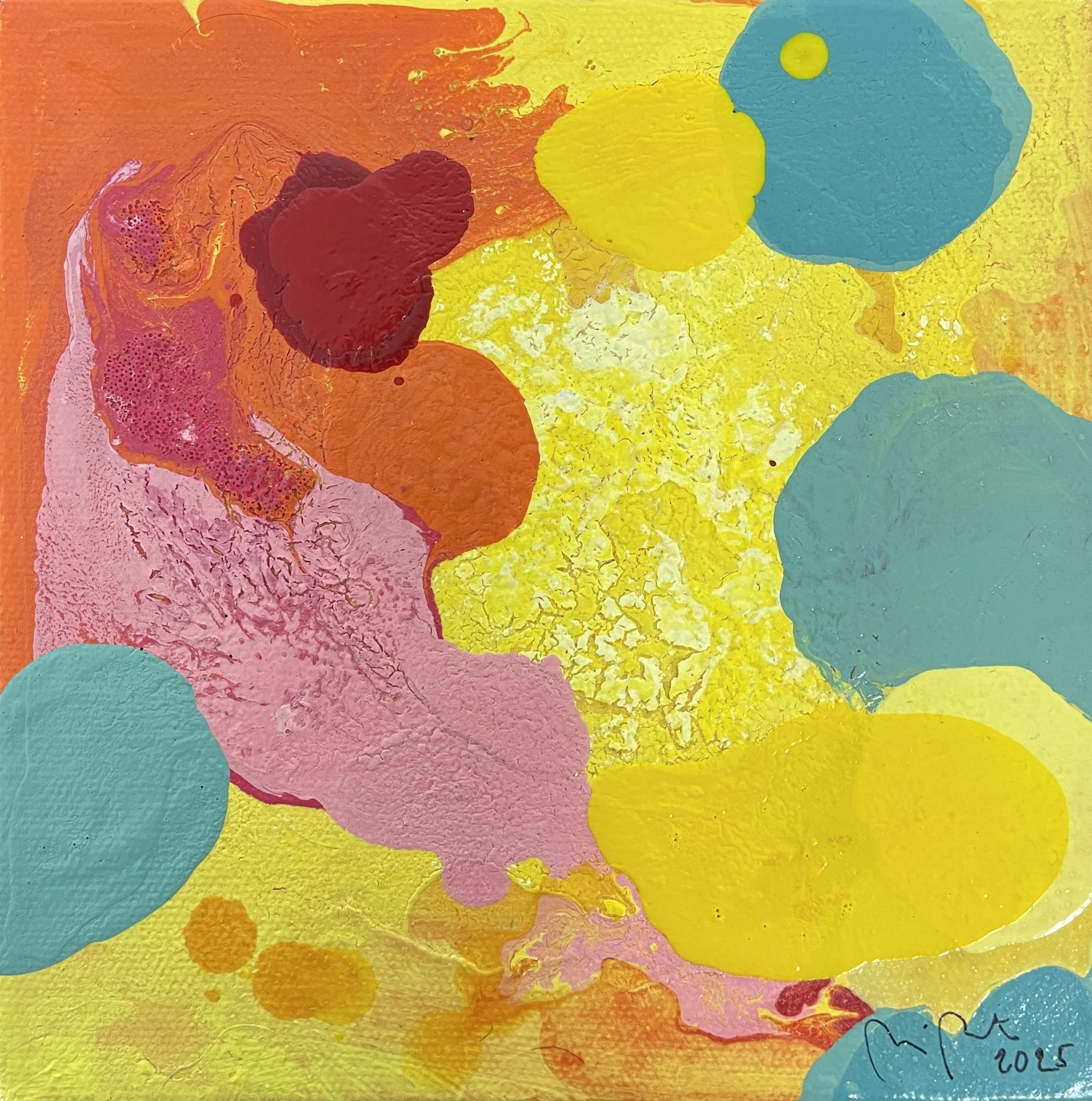 Oodi jäkälälle IV / Ode to lichen IV, 2025, 20 x 20 cm