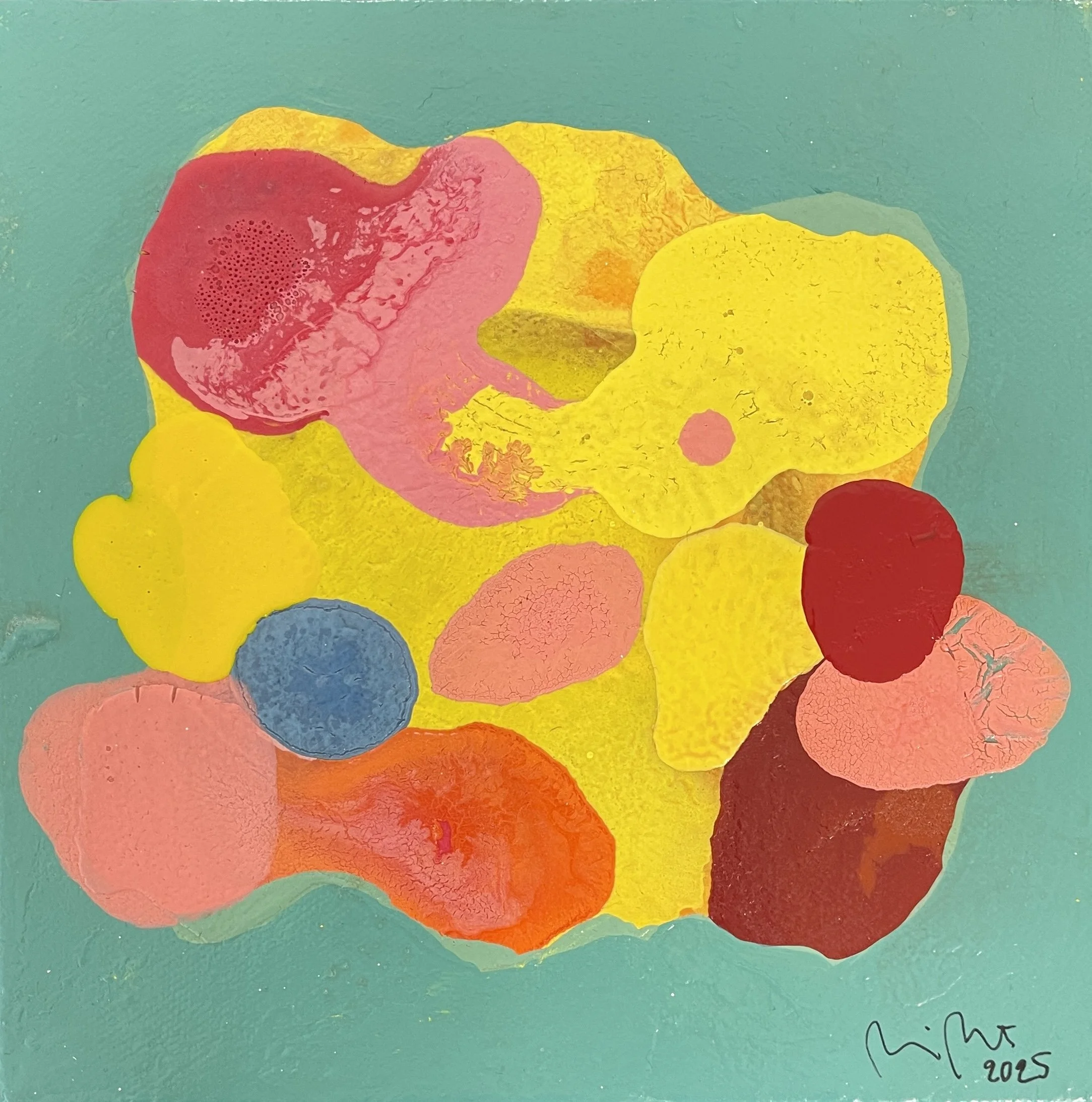 Oodi jäkälälle I / Ode to lichen I, 2025, 20 x 20 cm