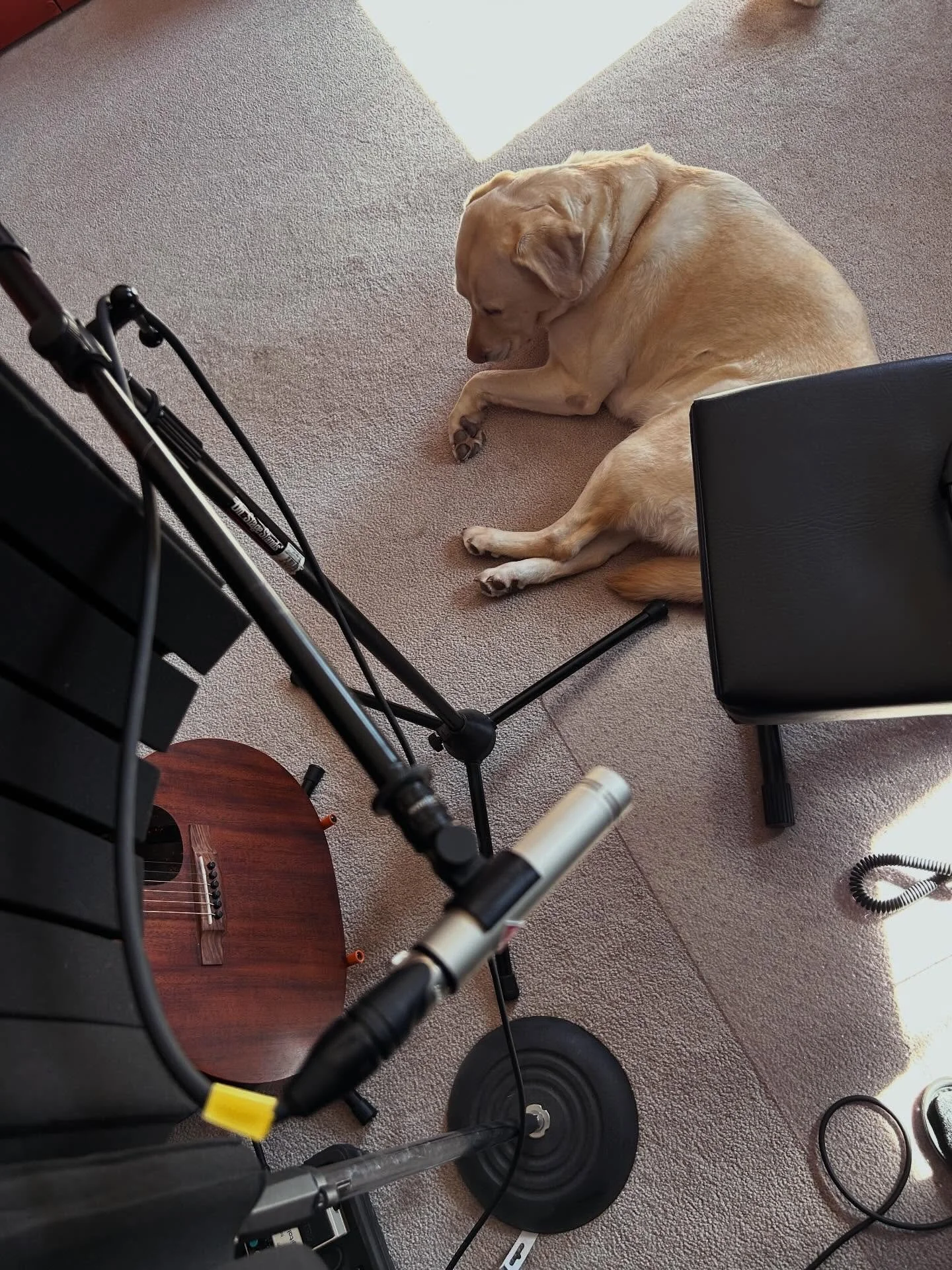 Back in the drivers seat with my co-pilot.