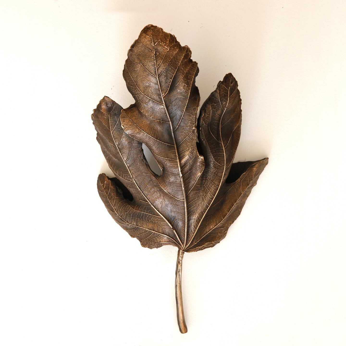 Our bronze fig leaf wall light, cast from a real fig leaf, preserving every vein &amp; crinkle 🍃