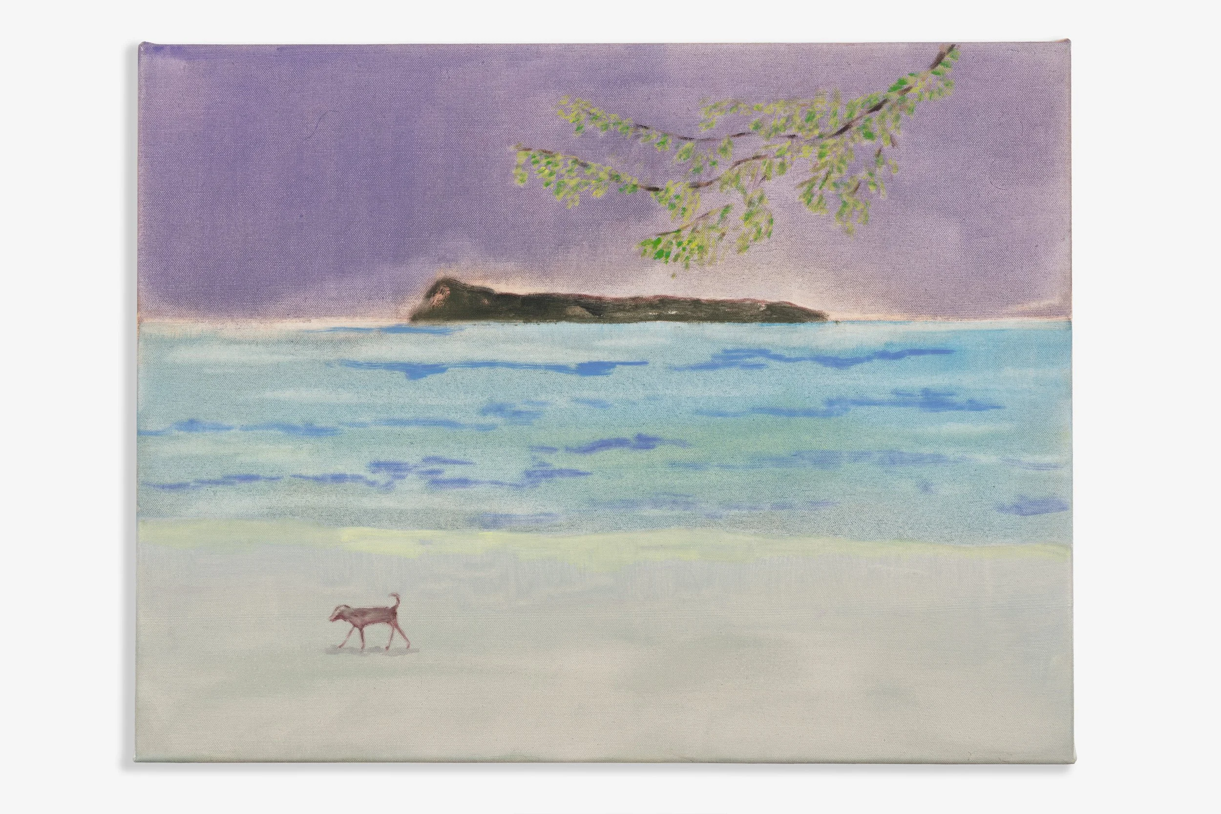 Coin de Mire, 2026, Oil on canvas, 50 x 65cm