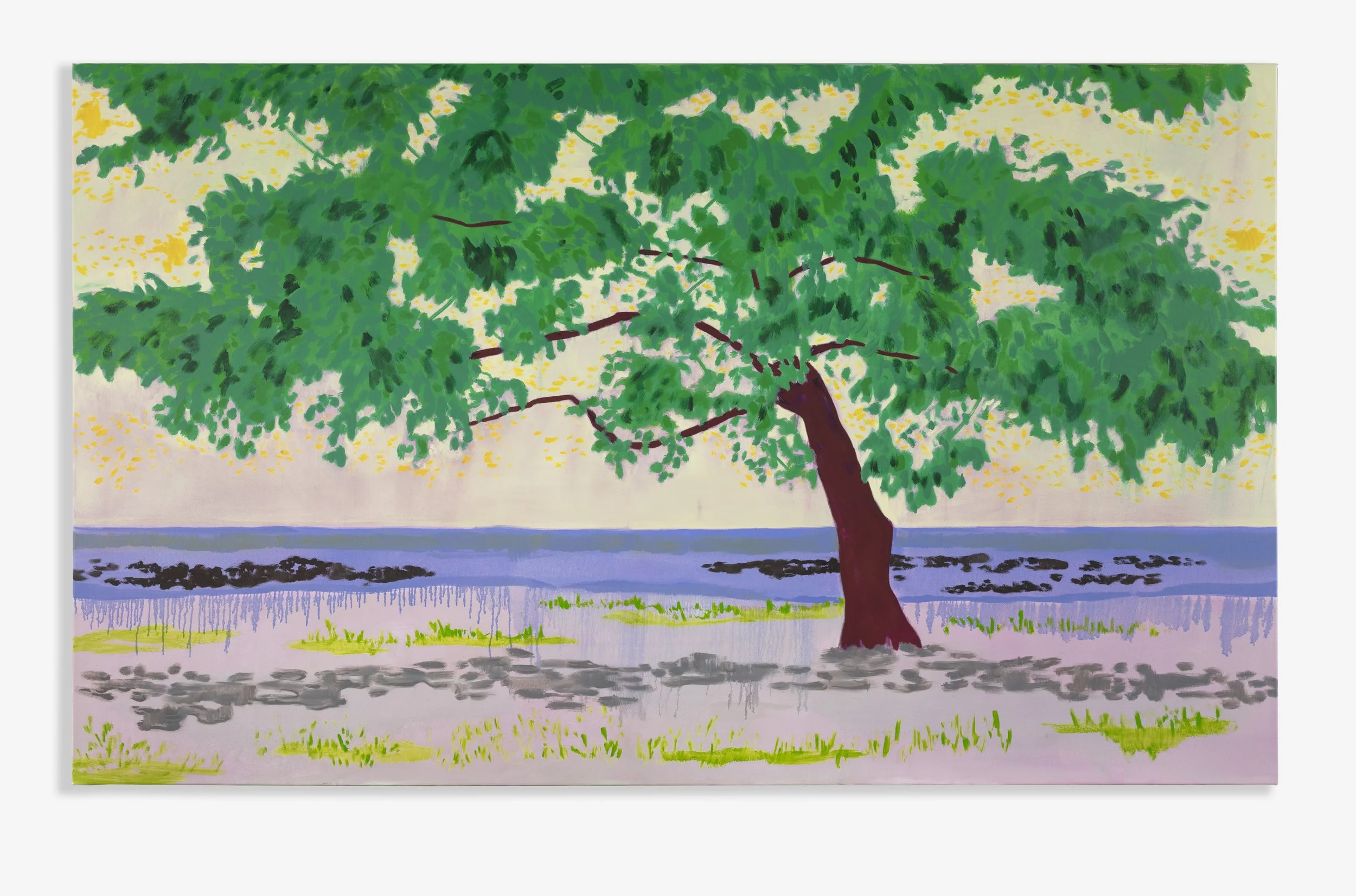 Anchor, 2026, Oil on canvas, 120 x 200cm