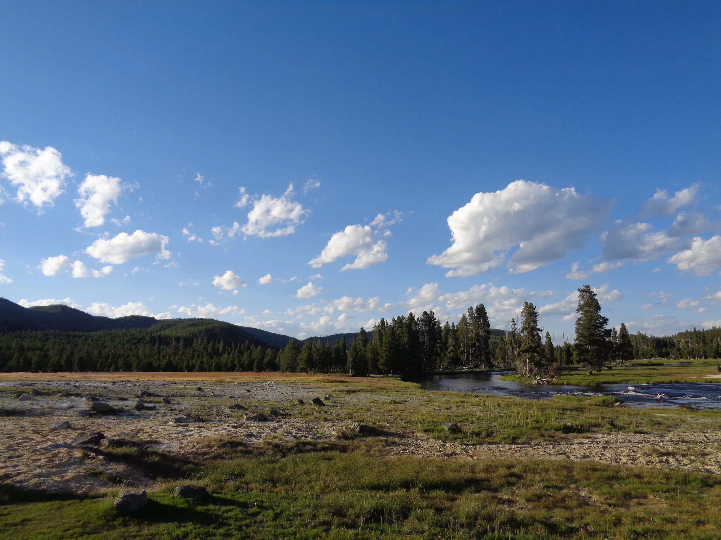 DSC00278.JPG