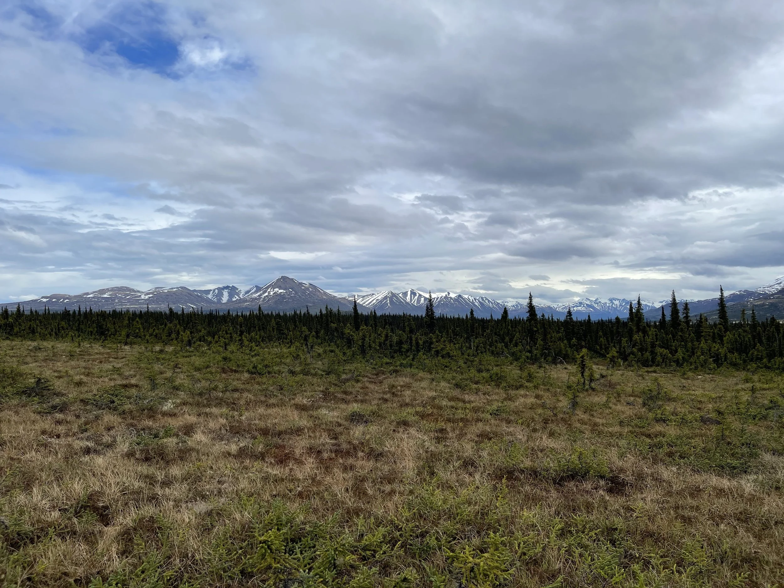 IMG_3647.jpeg