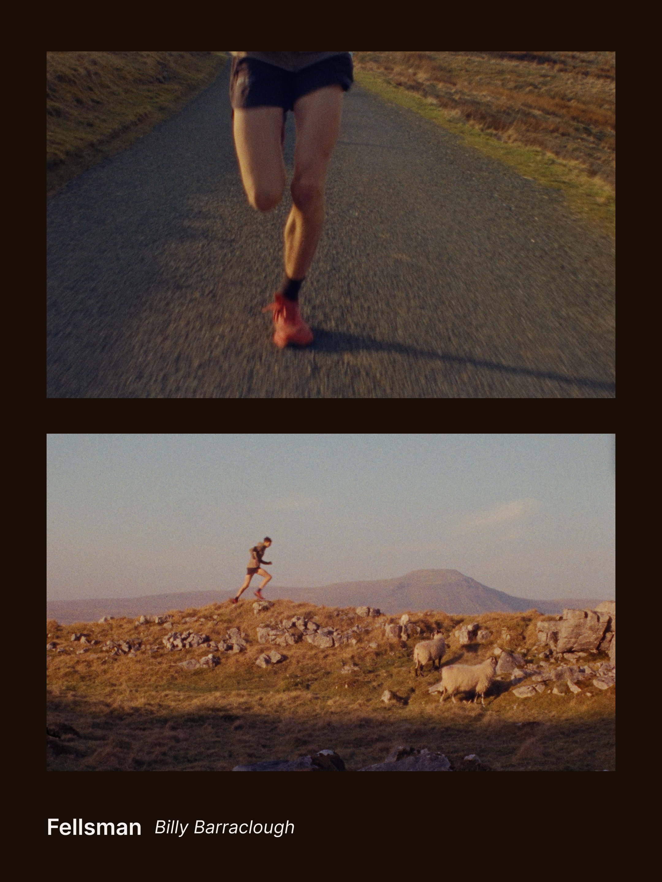 TRFF_FilmPromo_Fellsman_03.png