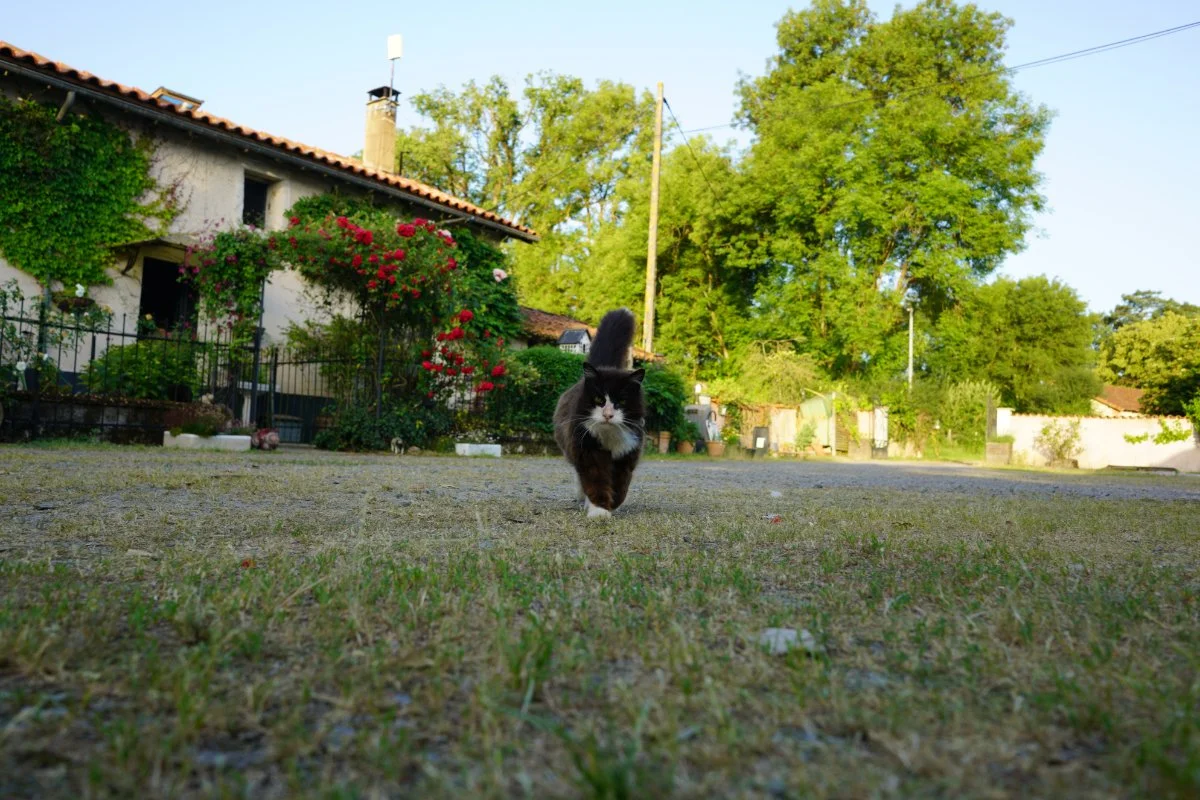 Hof Domaine Aluna