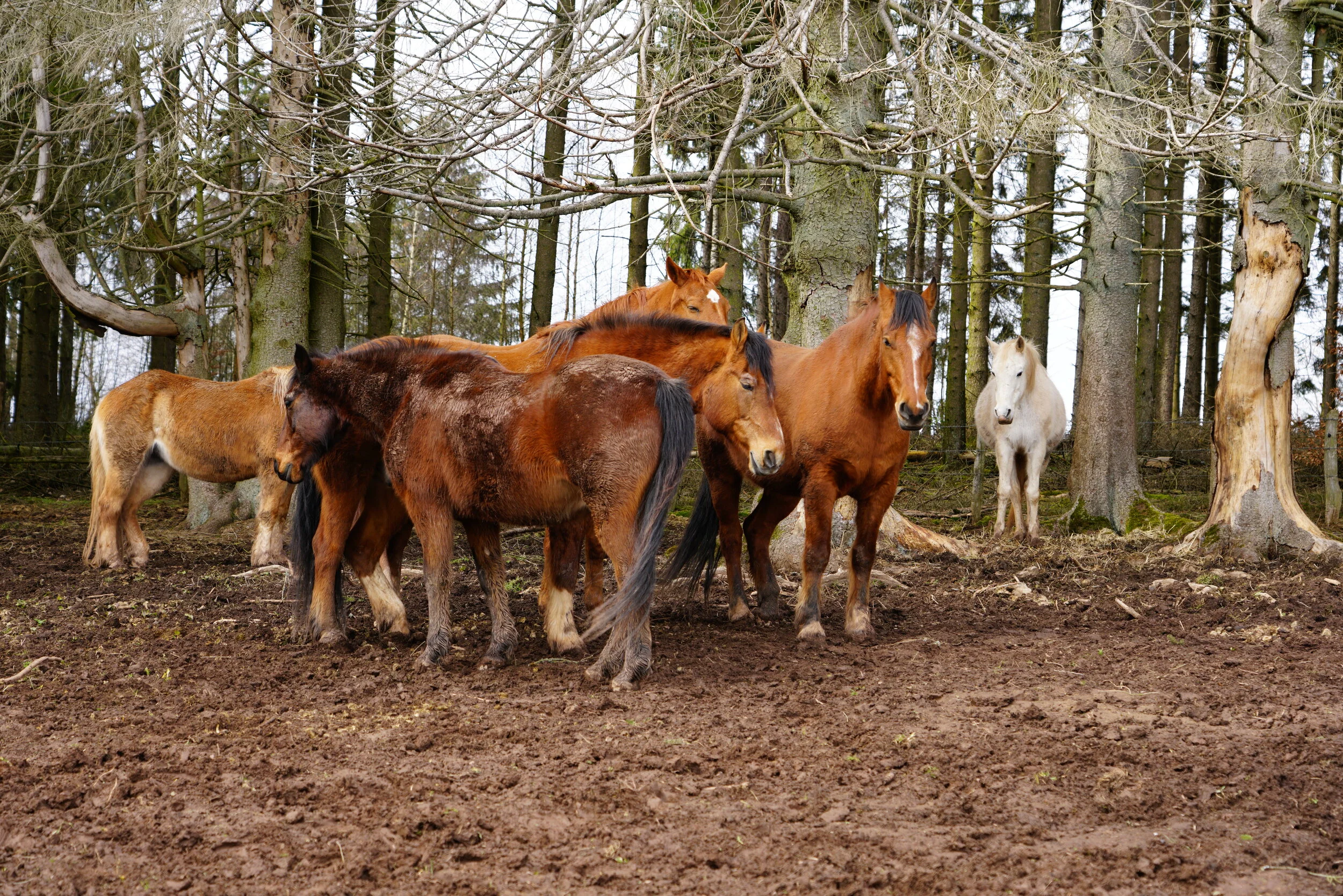 Geist ist machtvoller als Körper