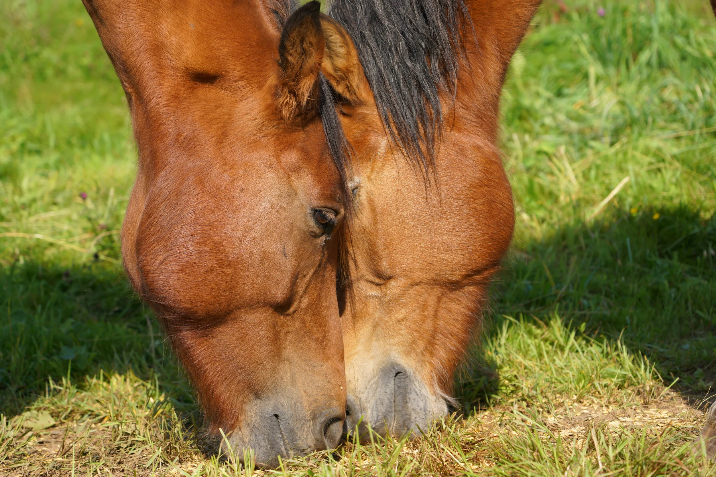 Veränderung beginnt bei mir