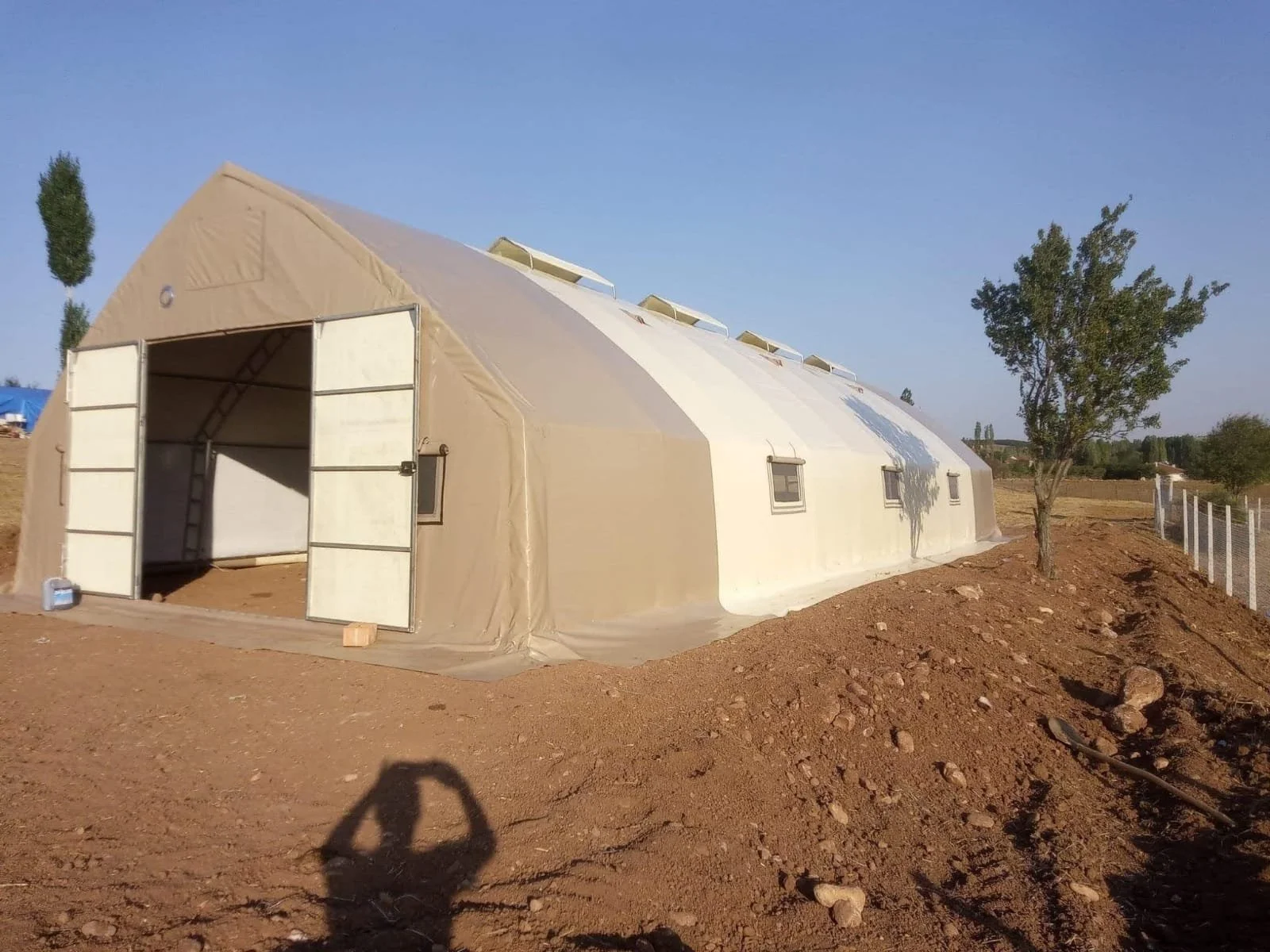 Schutz vor Schnee und Kälte für die misshandelten Wildpferde