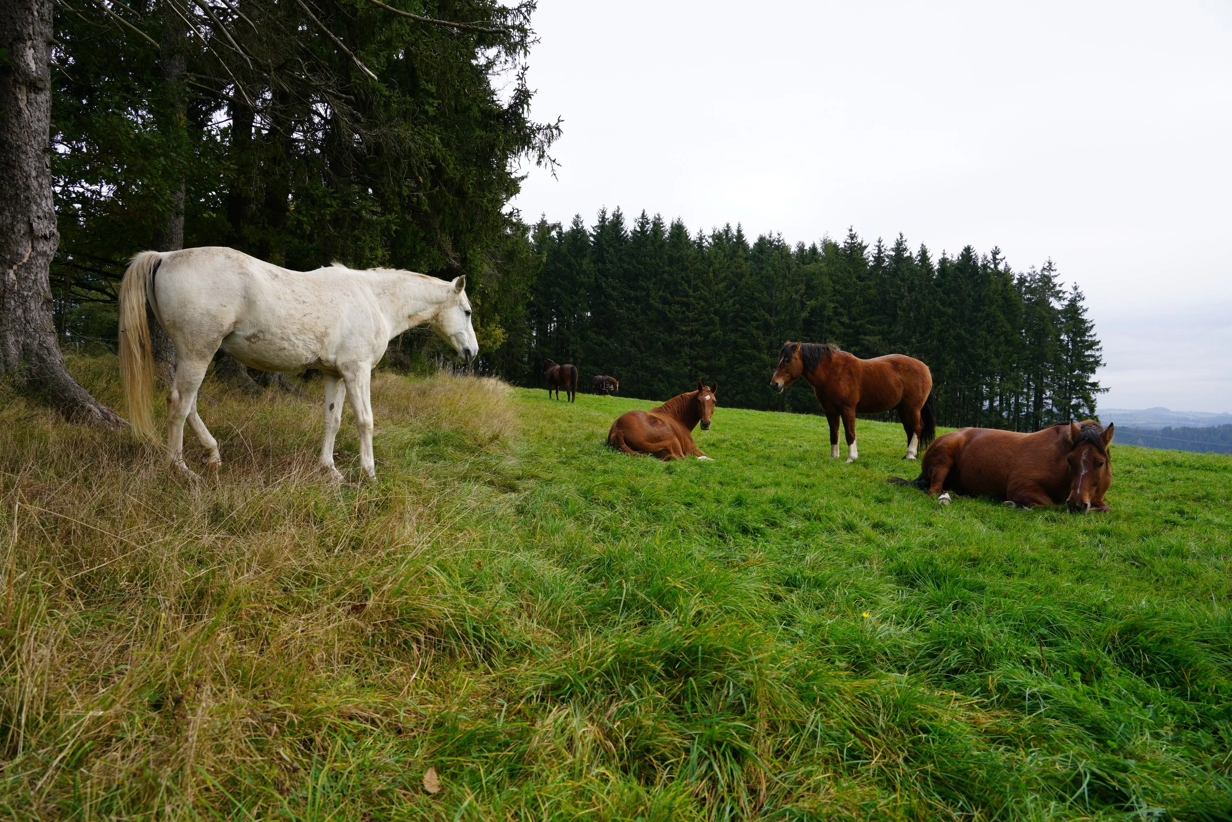 Frieden beginnt bei mir