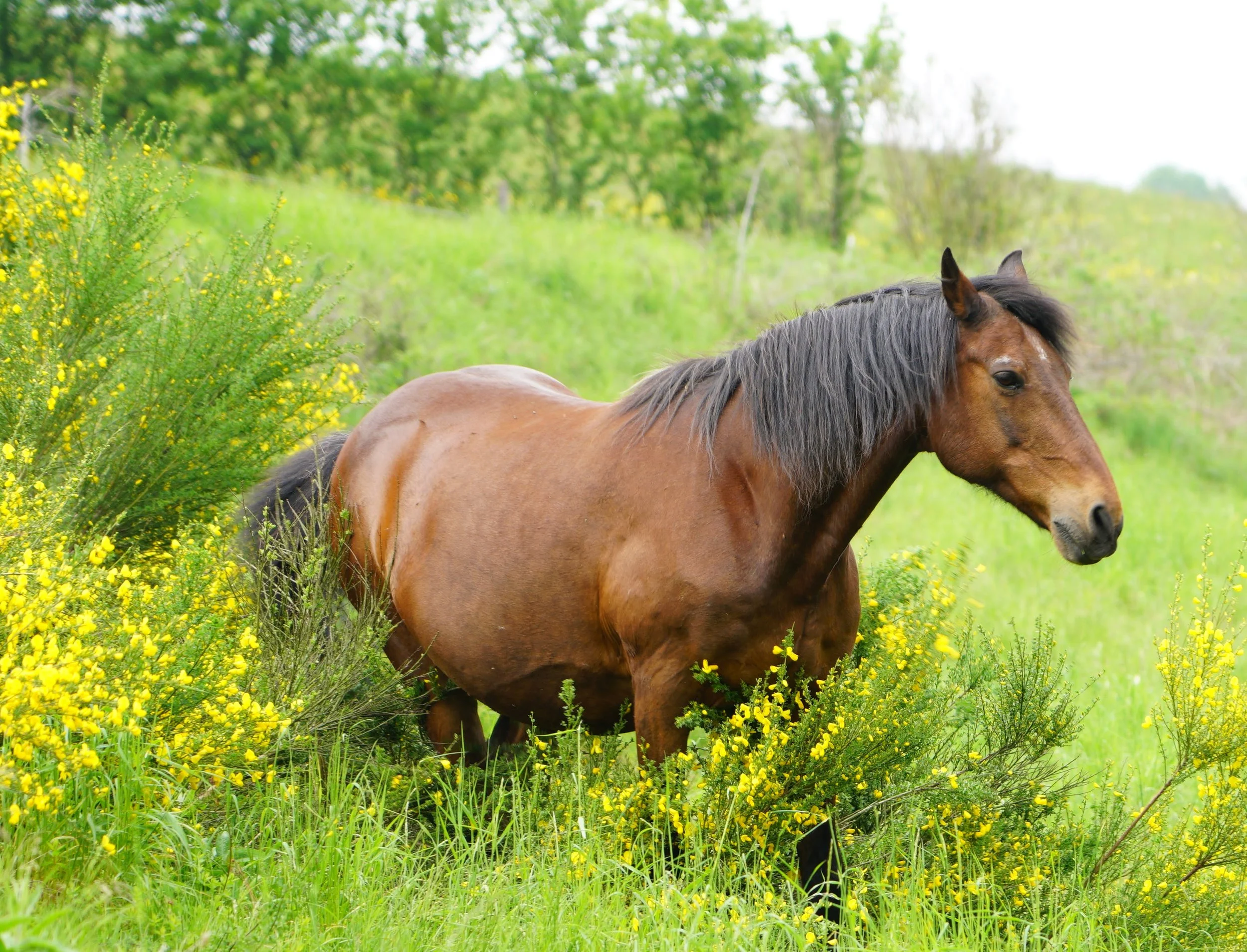 Noch ist da eine Lücke…