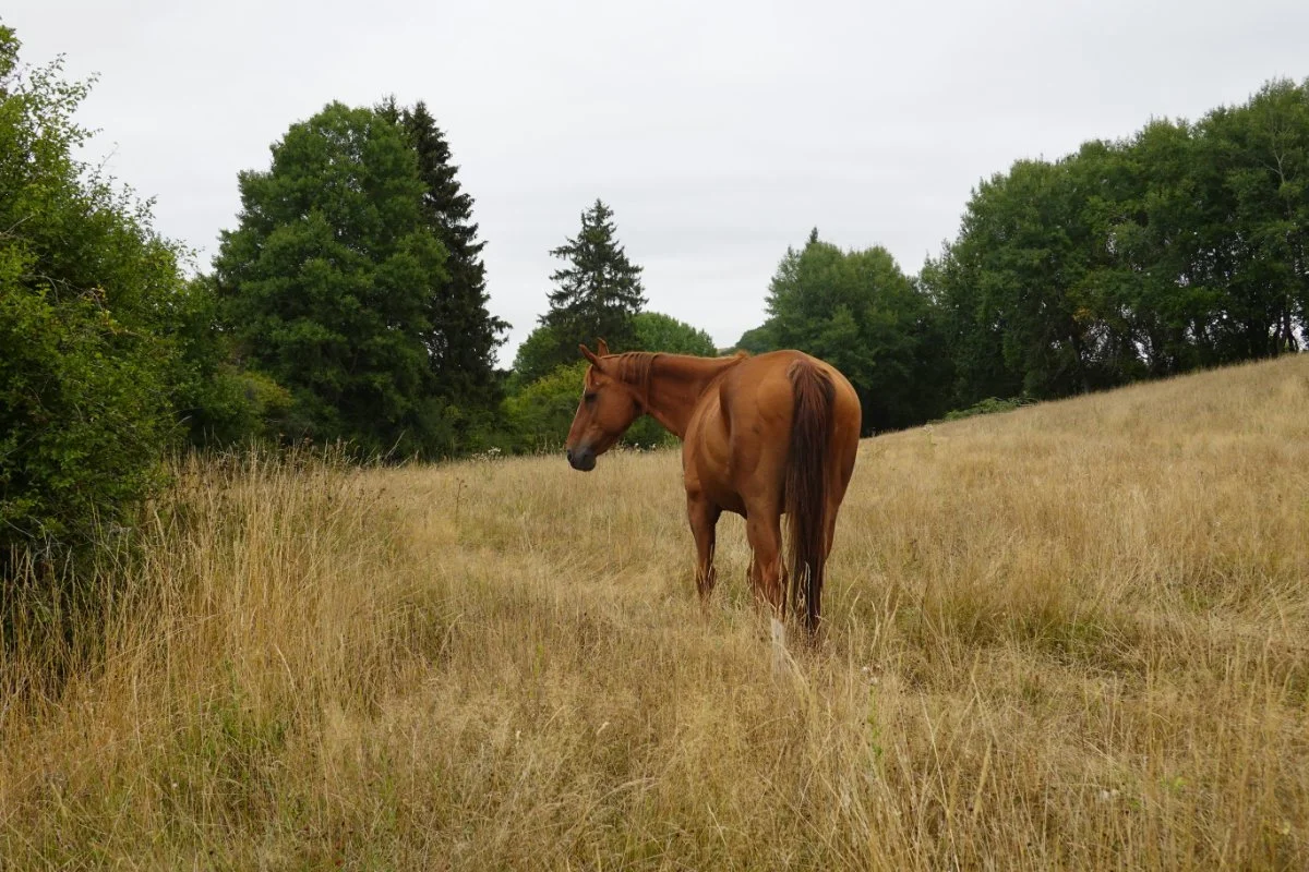 Raus aus den Geschichten, rein ins Leben