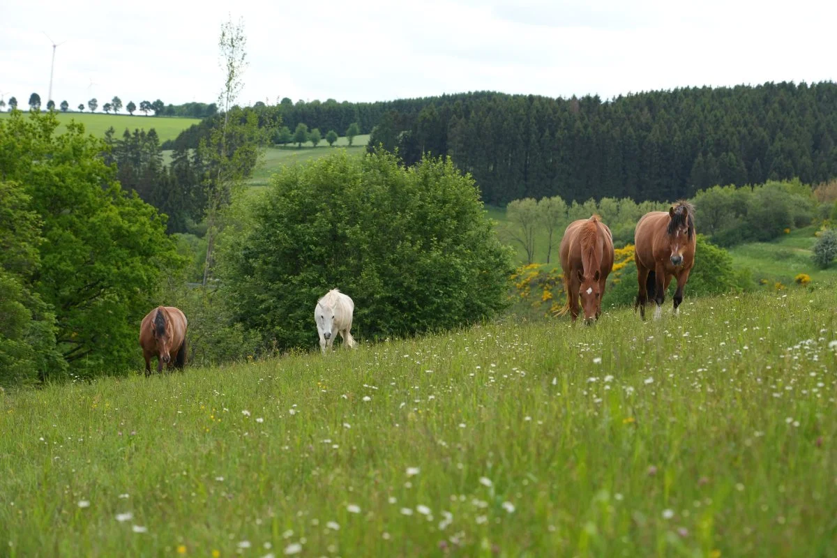 Damit wir uns erinnern