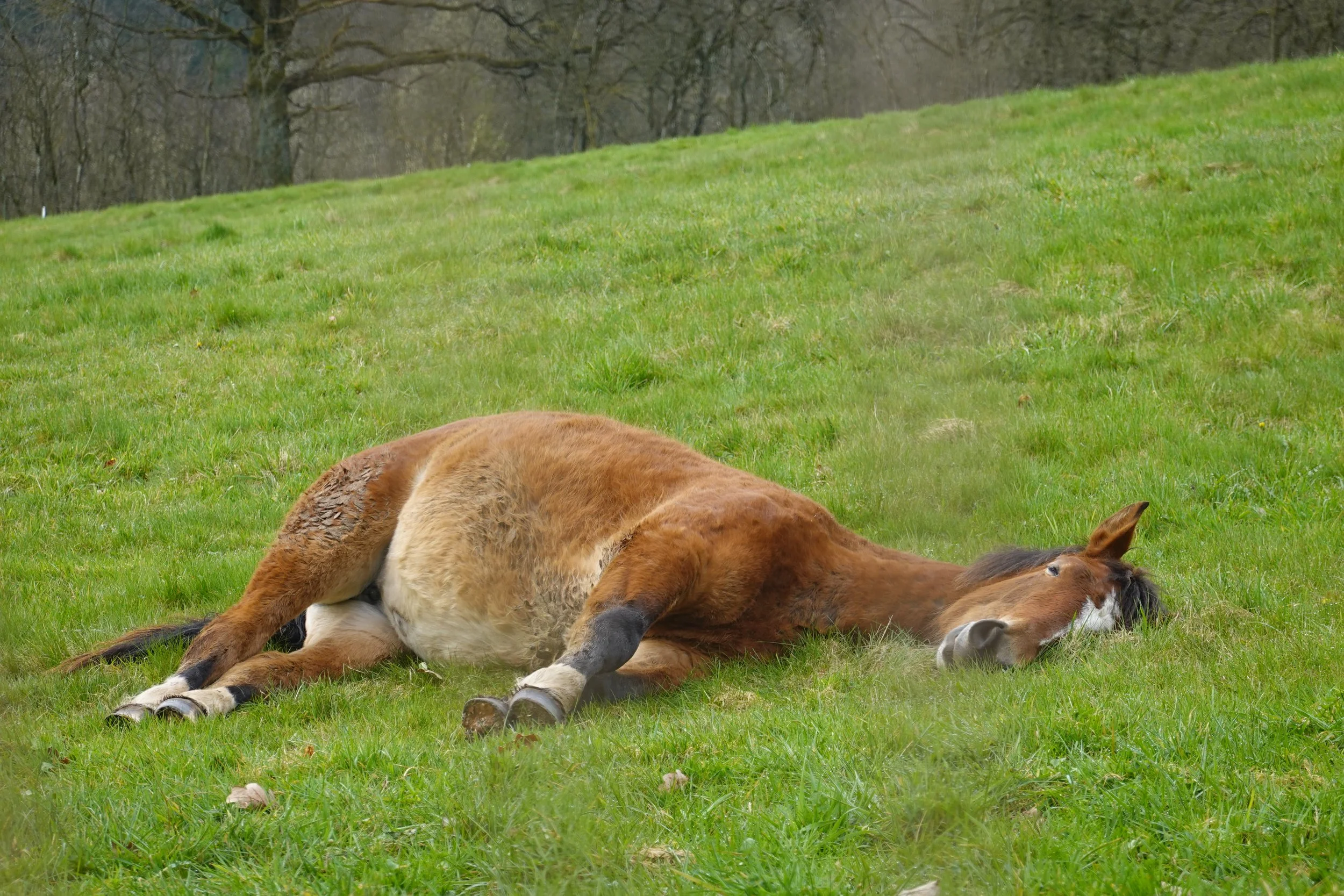 Vorbereitung aufs Leben