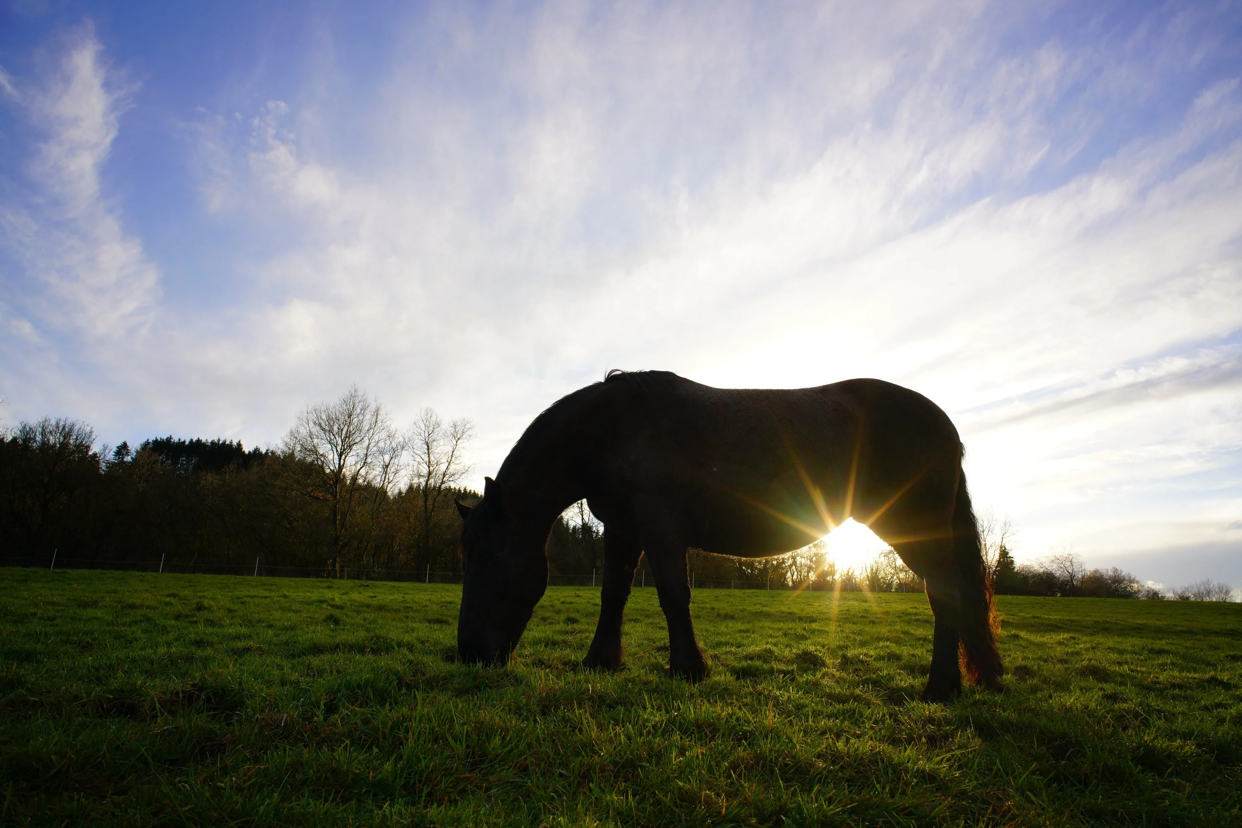 Gelassenheit statt Konflikt