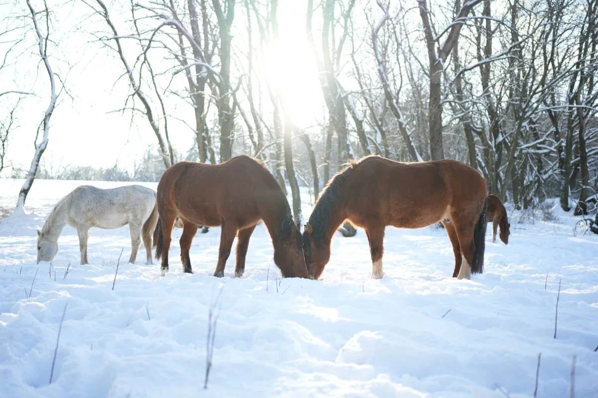Wenn wir fühlen, ist Veränderung möglich