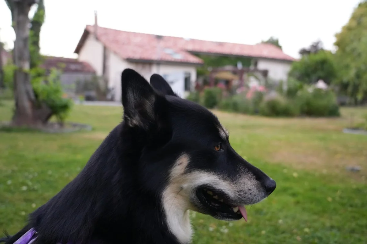 DSC08338.jpg