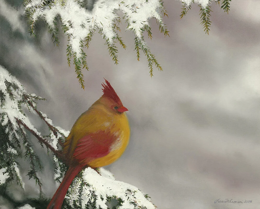 Cardinal.jpg