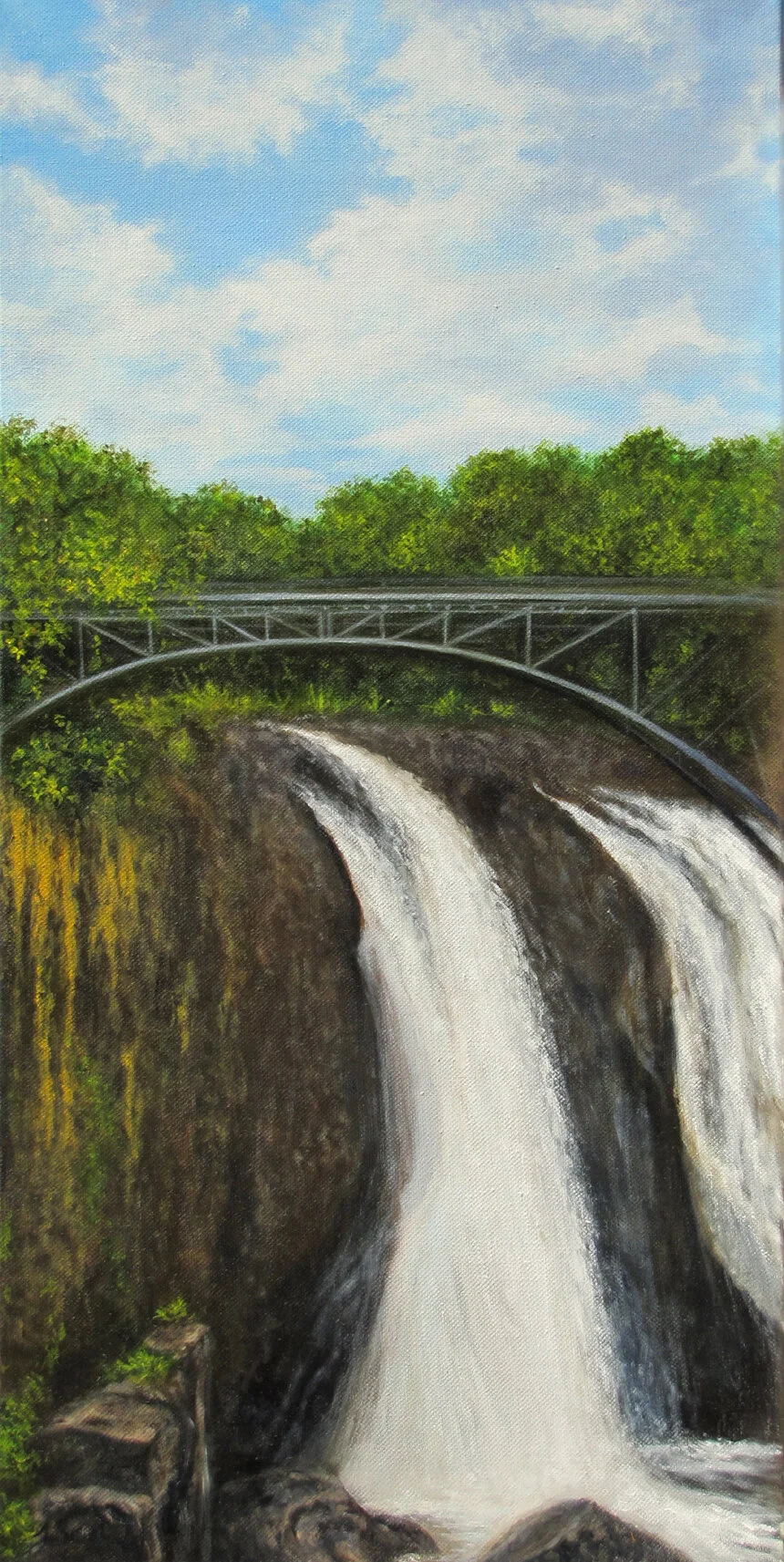 Paterson Falls Summer IMG_7100b.jpg