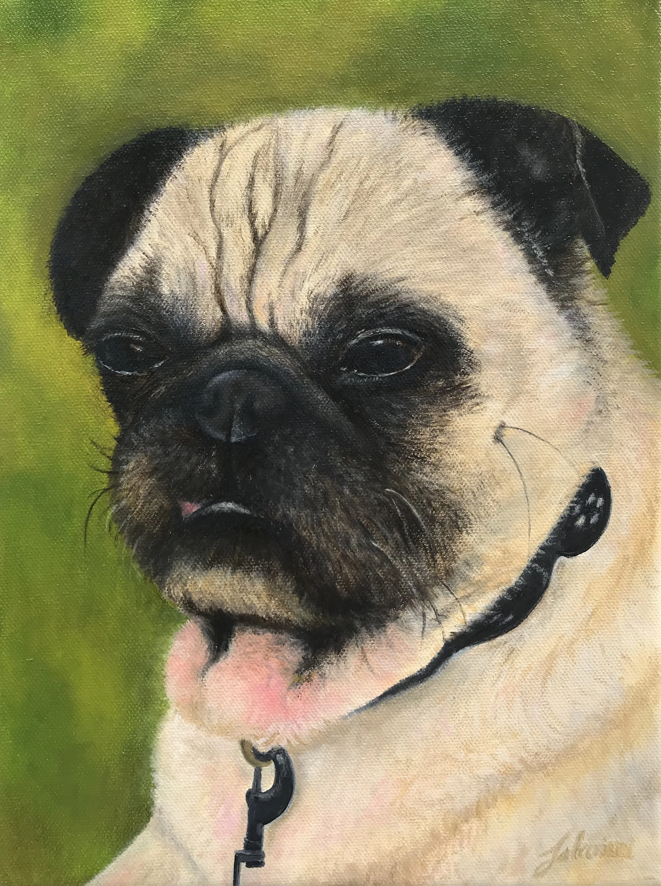 03_Pug.JPG