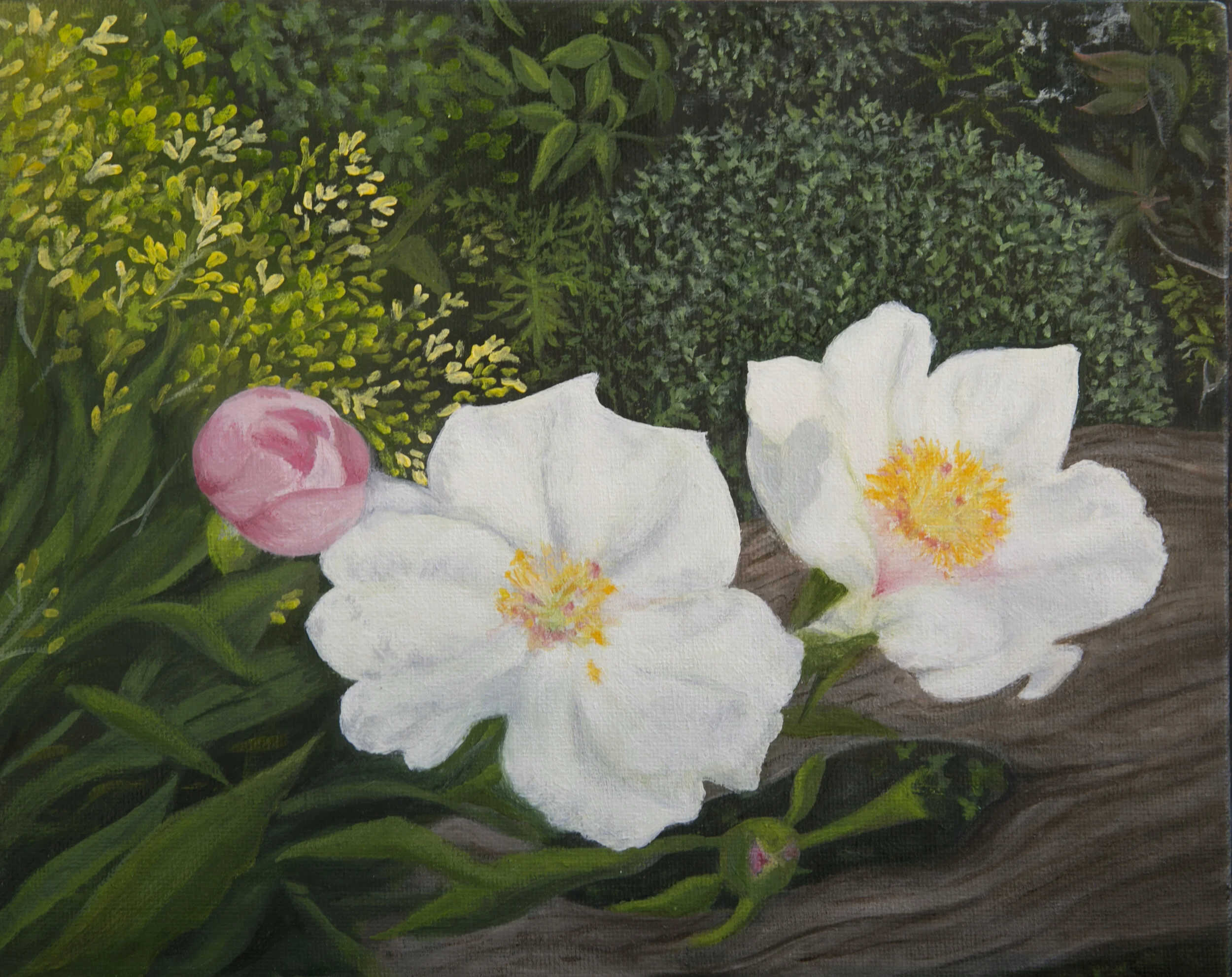 Buds2Blooms.JPG