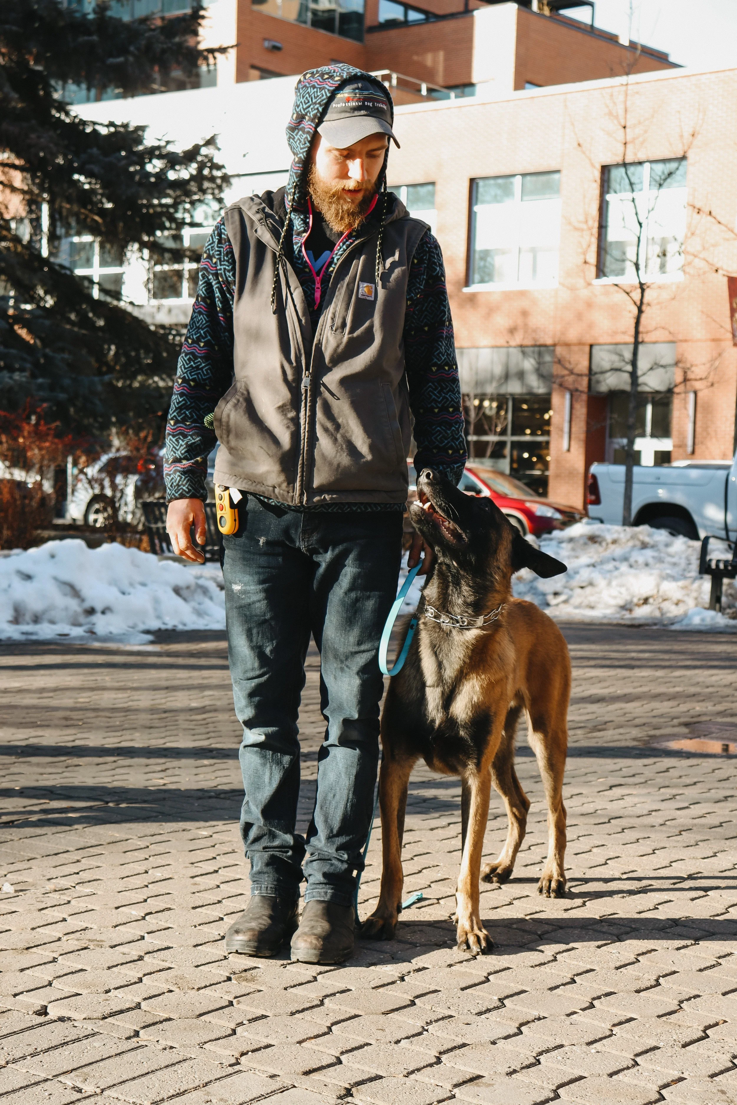 Canines Alberta Professional Dog Training