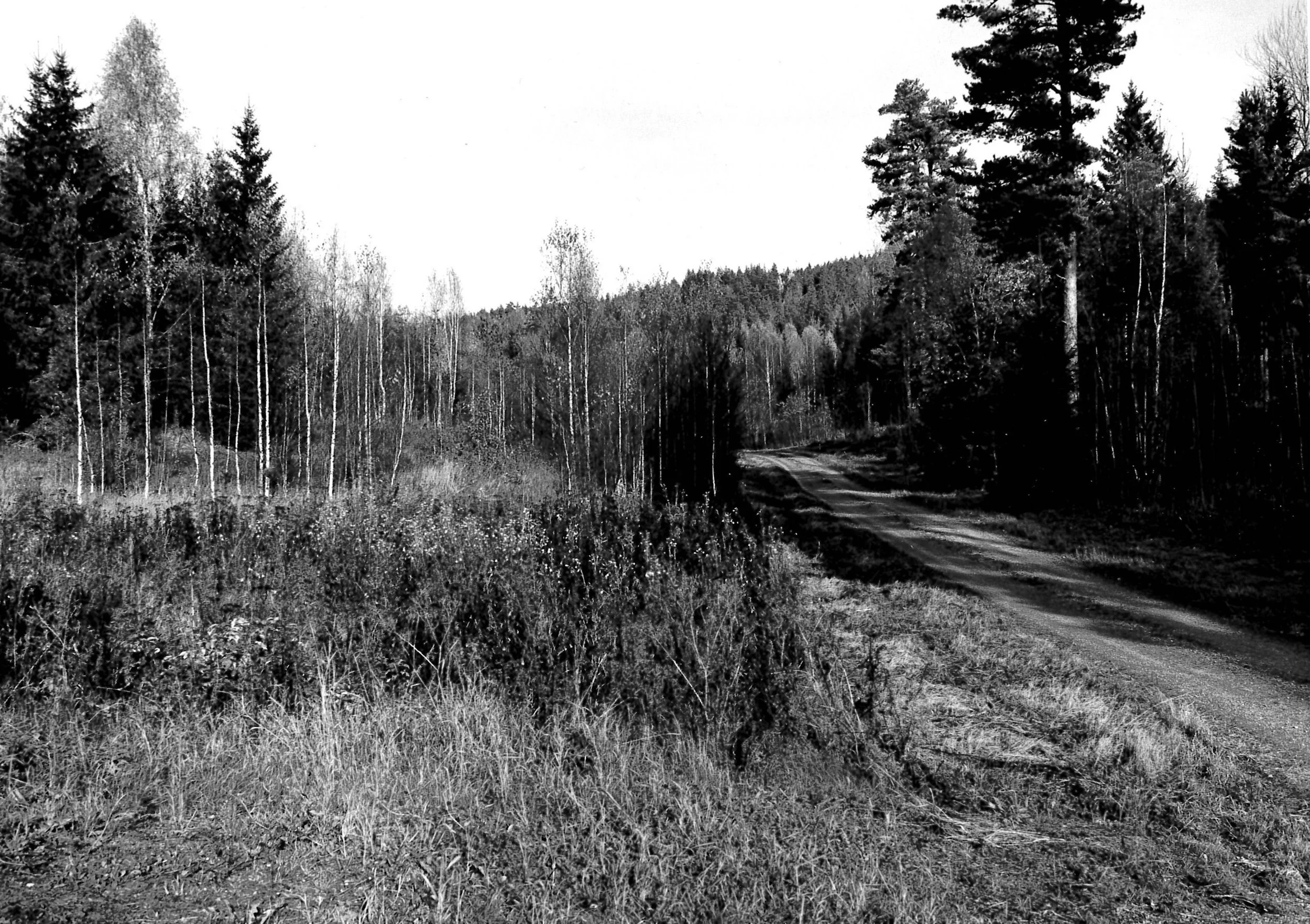 Taterlandet Blaker