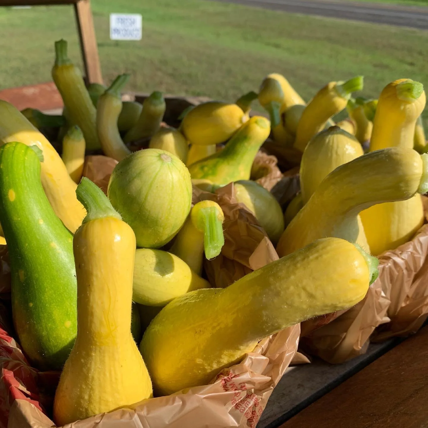 Gorgeous yellow squash.  Just harvested this morning.  Also fresh harvested cucumbers 🥒. Farm stand is open!  I&rsquo;ll be adding Sweet Corn after I get that picked too 🌽 🌽🌽🌽🌽