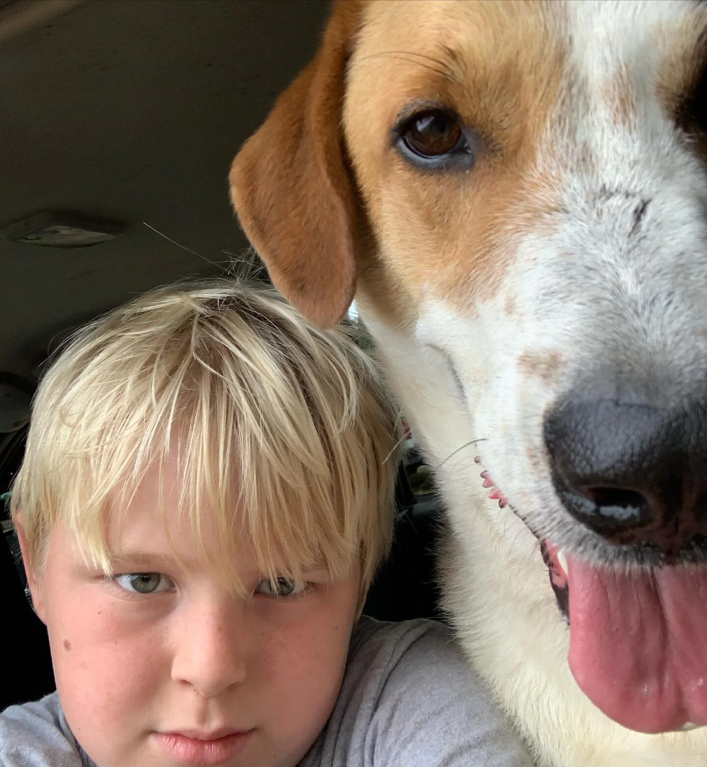 We had a devastating and unexpected loss yesterday on the farm and in our family.  Our sweet Duke left us.  Thomas and I loved him so very much and he will be remember as the most interesting guy around here yet.  We love and miss him so much. ❤️.