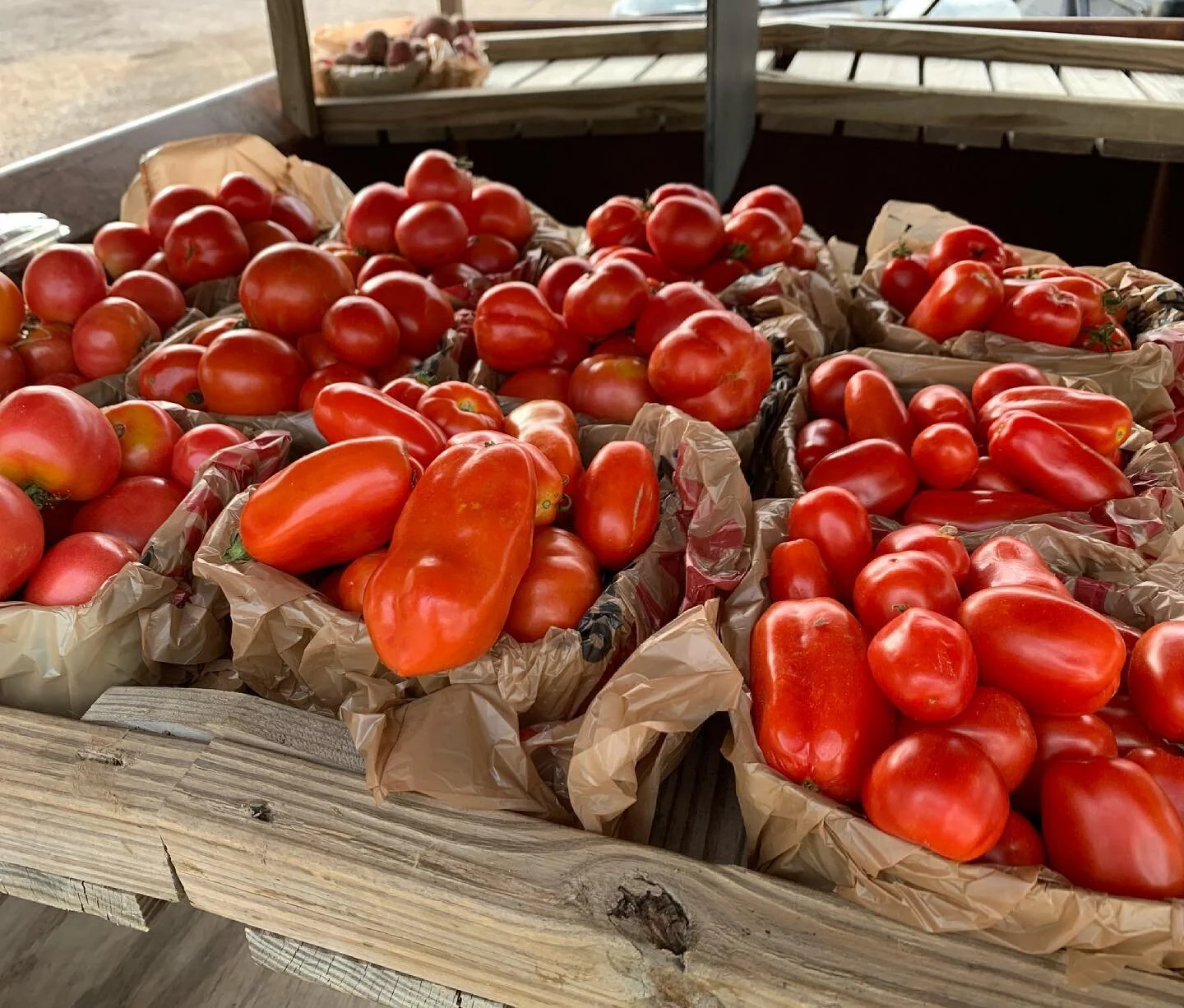 Ripened and ready for your plate. 🍅