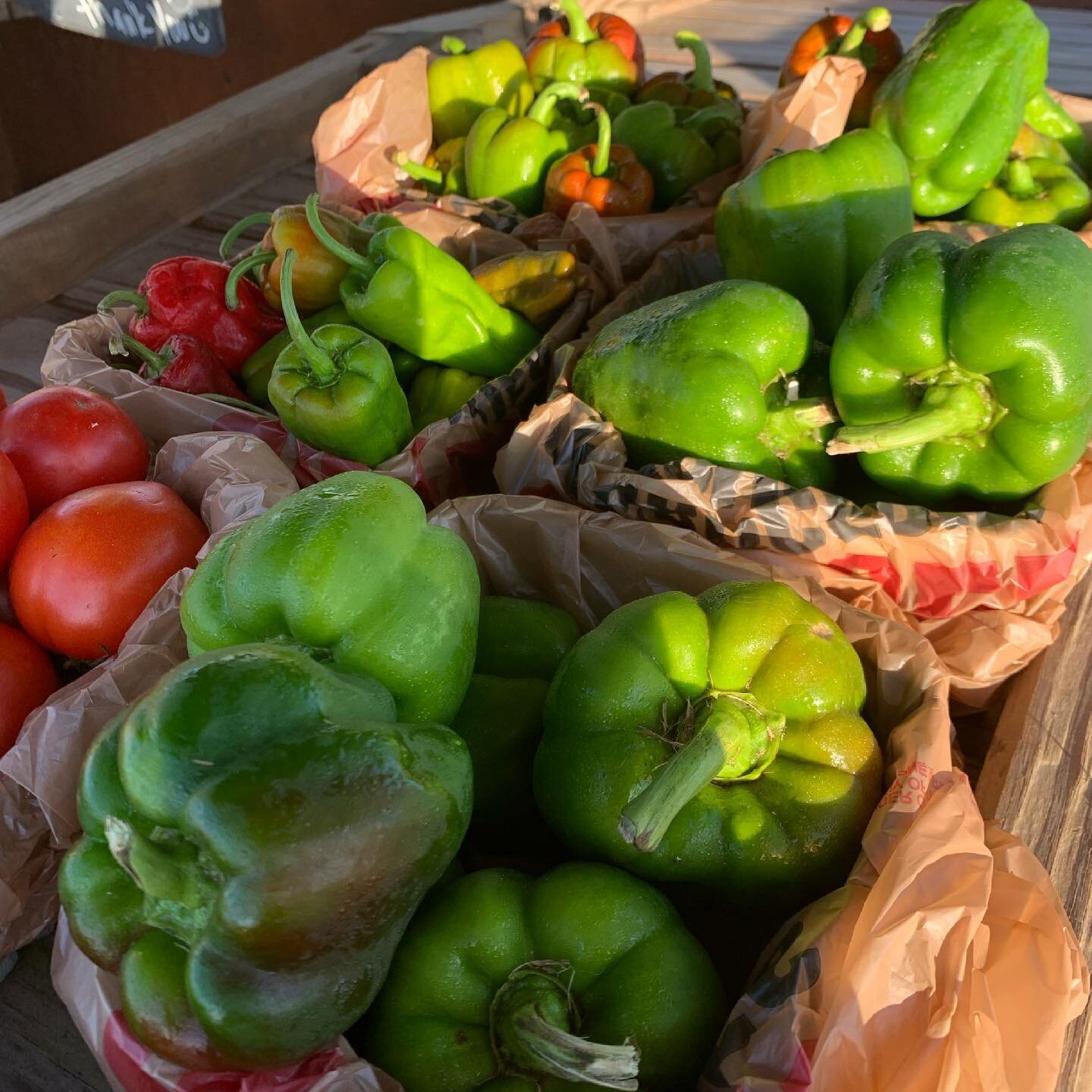 The stand has some gorgeous bell pepper today.!